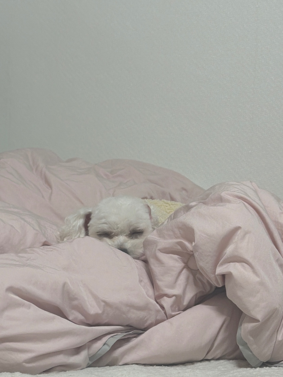 ㅎㅎ