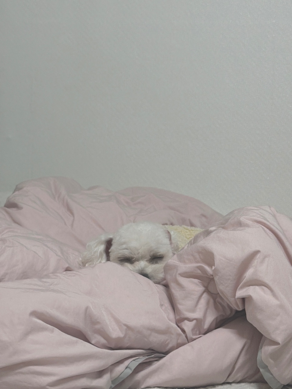 ㅎㅎㅎ