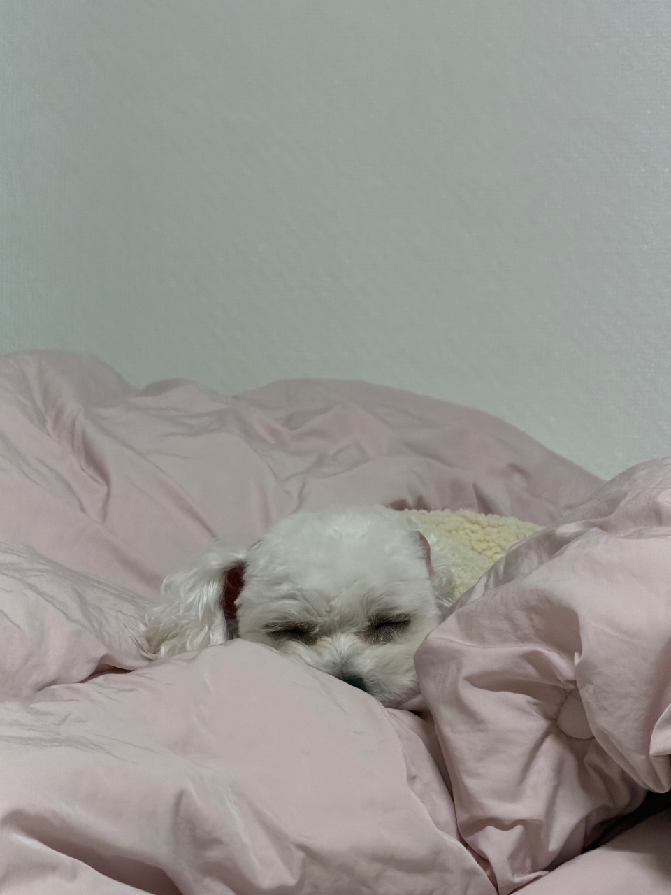 ㅎㅎㅎㅎㅎㅎ