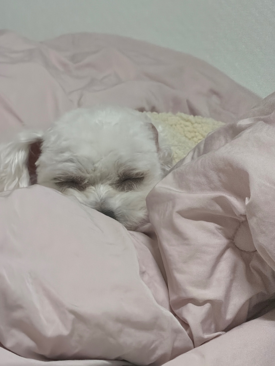 ㅎㅎㅎㅎㅎㅎㅎㅎ