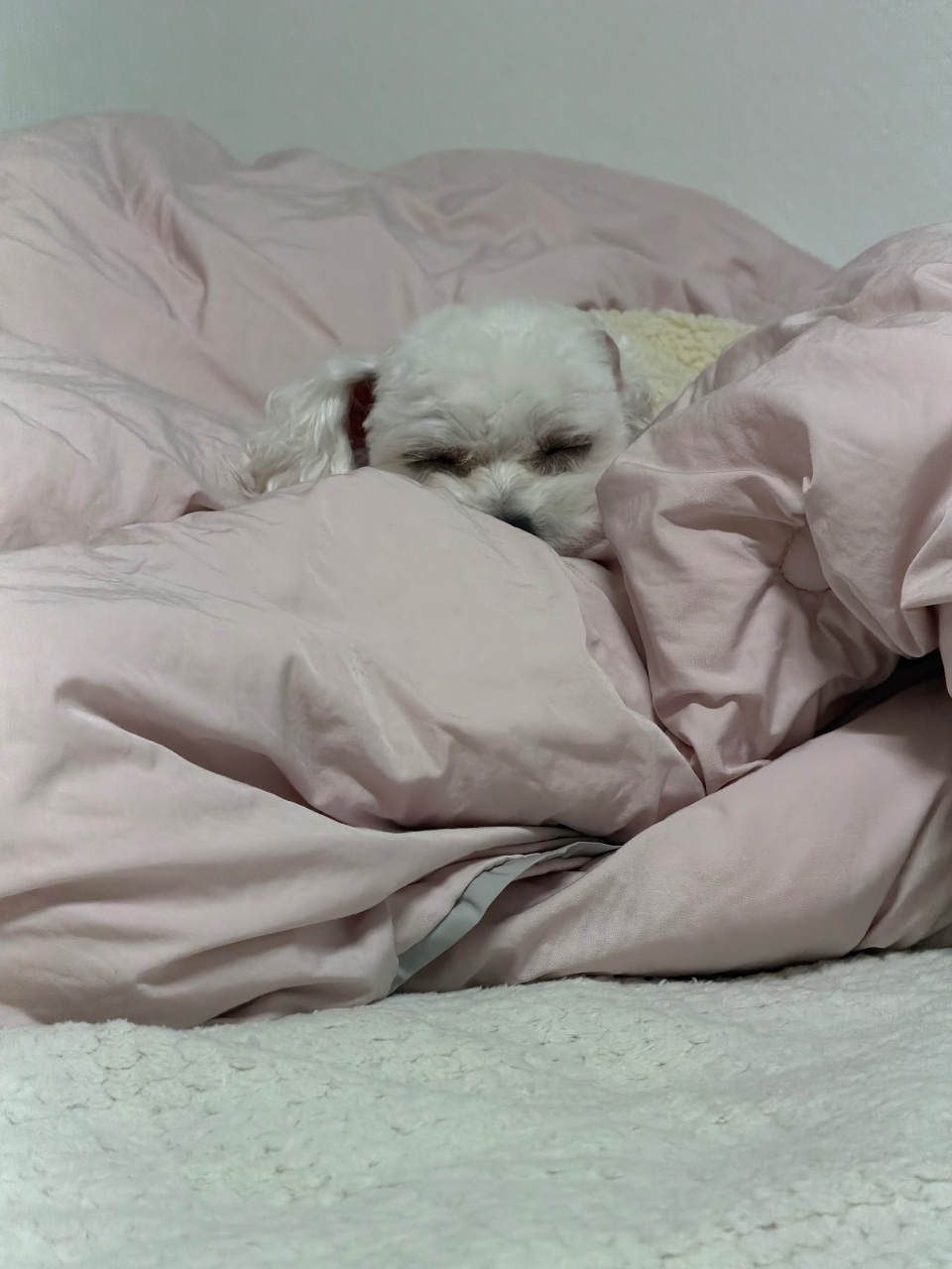 ㅎㅎ