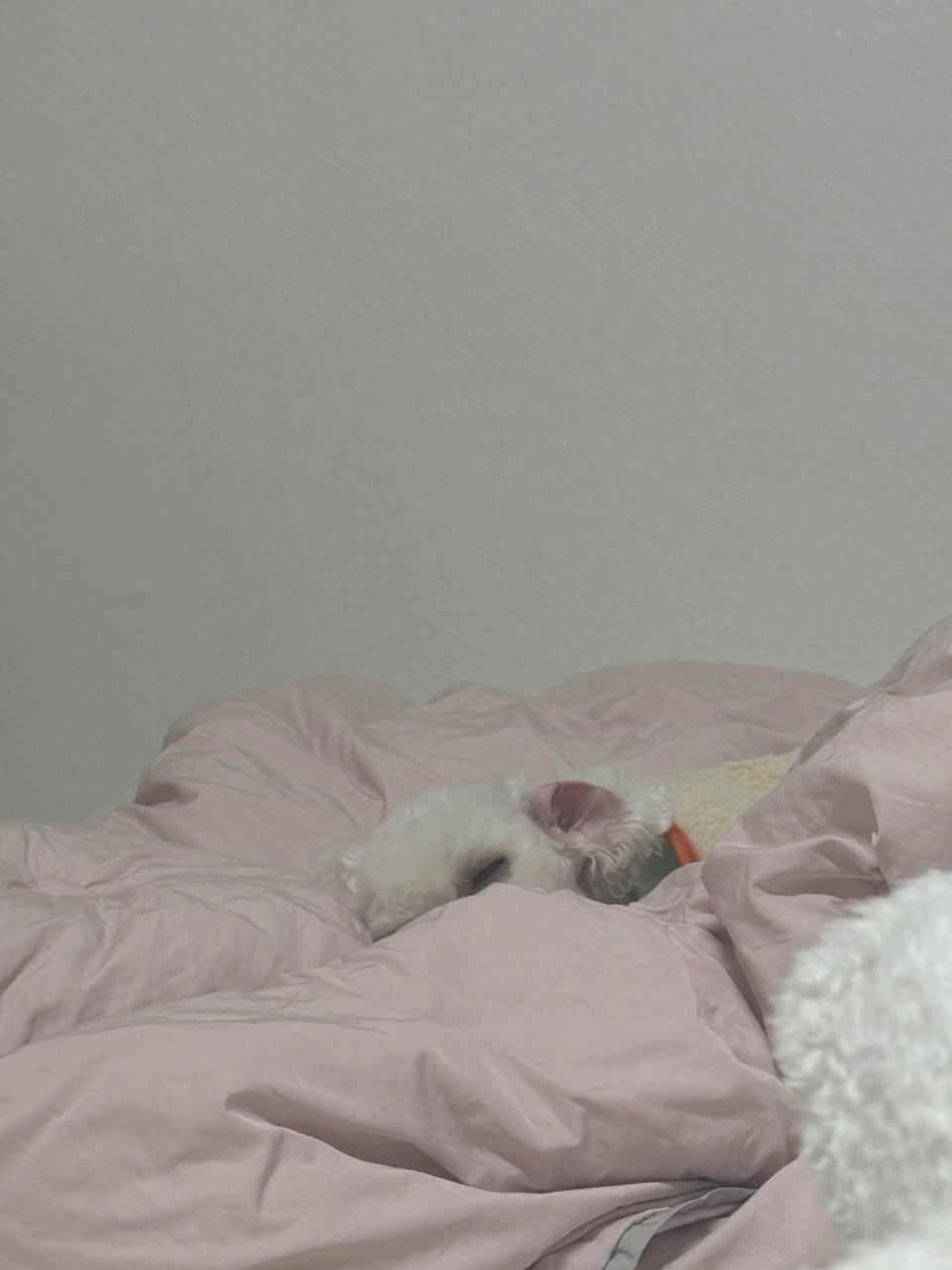 ㅎㅎㅎㅎ
