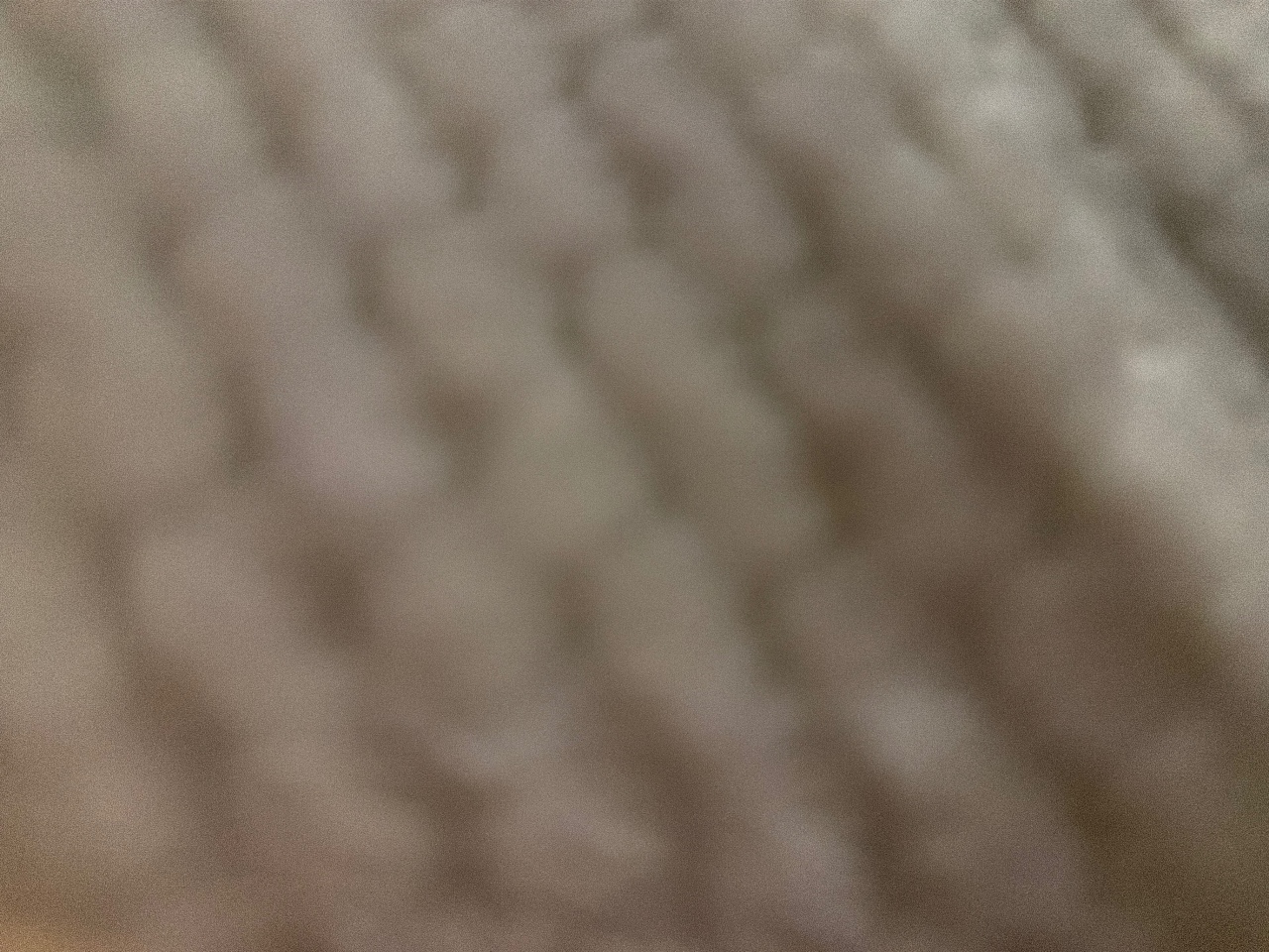 ㄹㄹㅎㅎㅎ