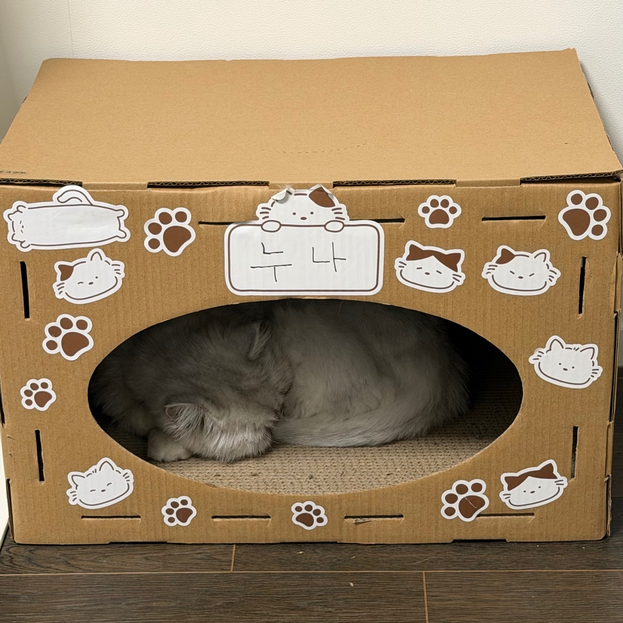 우리 고냥이 최애공간 📦