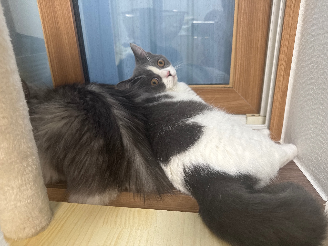 햇빛존
