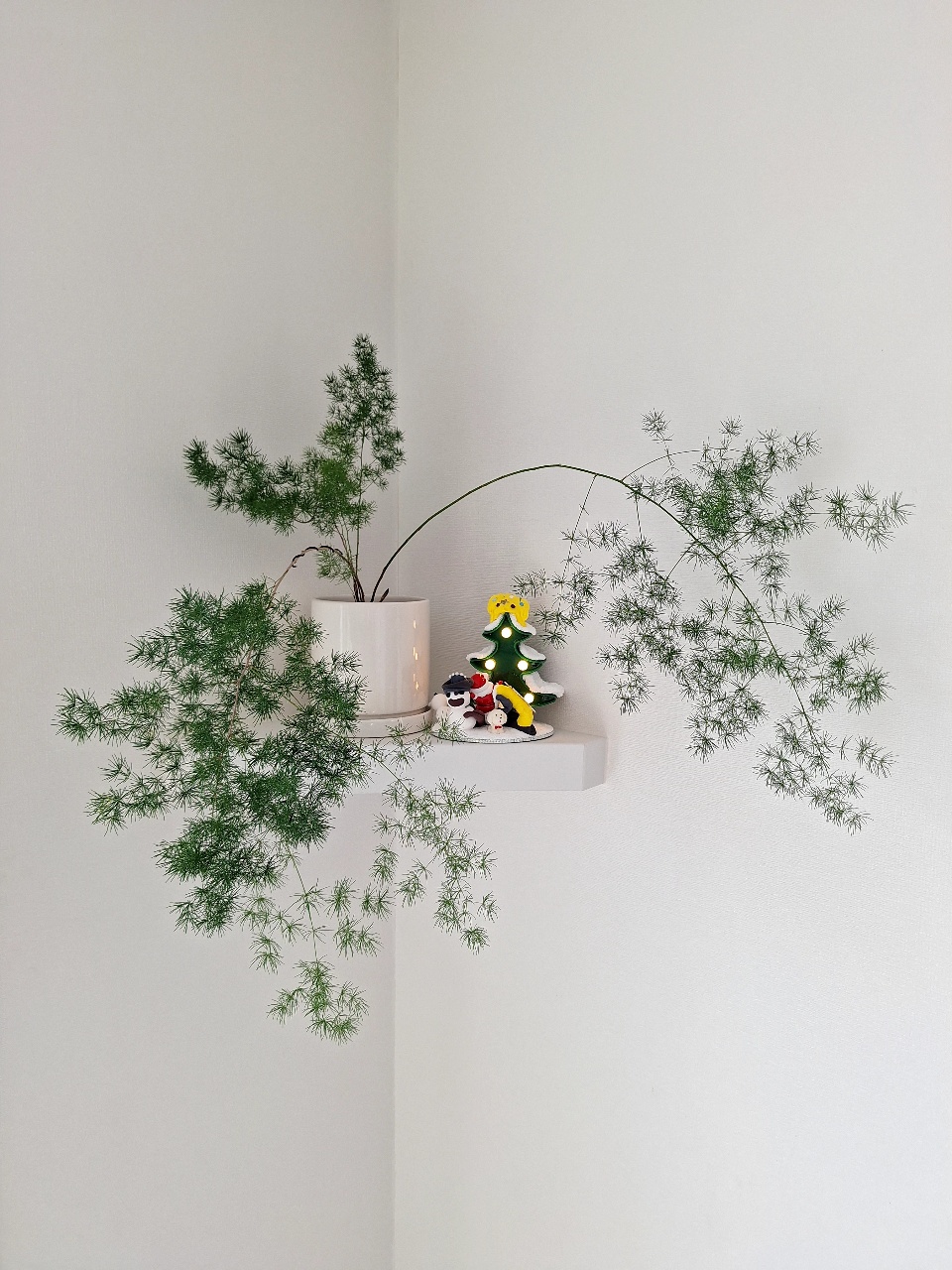기특한 새순🌱