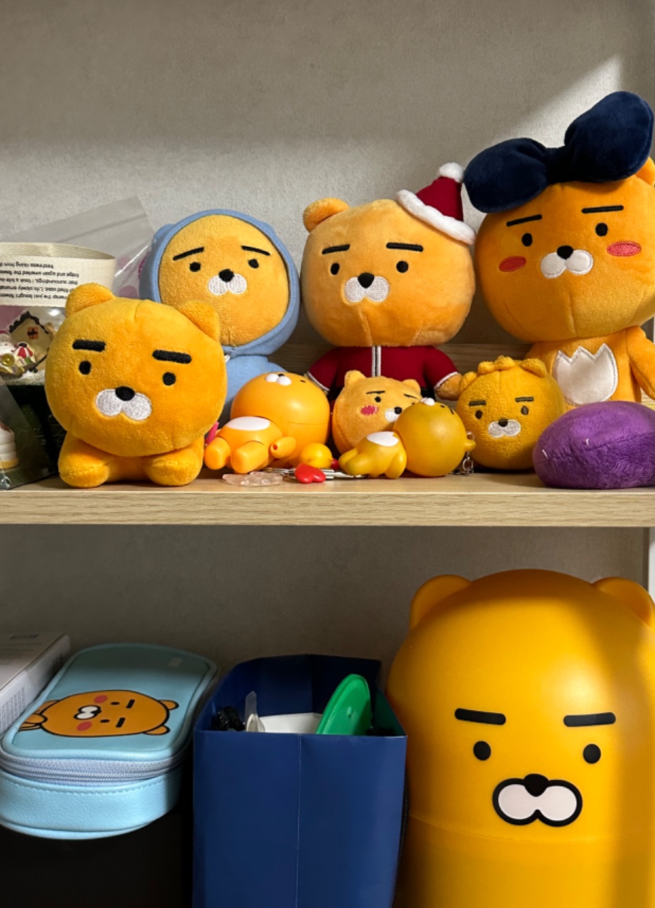 선물로 채워진 라이언존🦁
