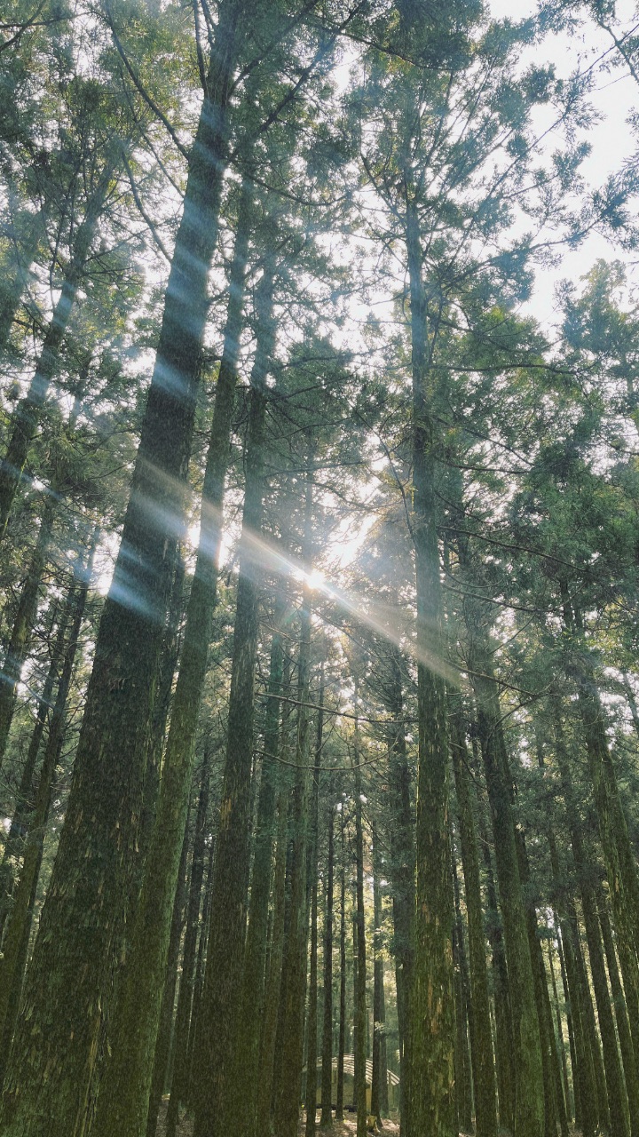 흐린 날씨여도 빛은 좋아🌤️✨