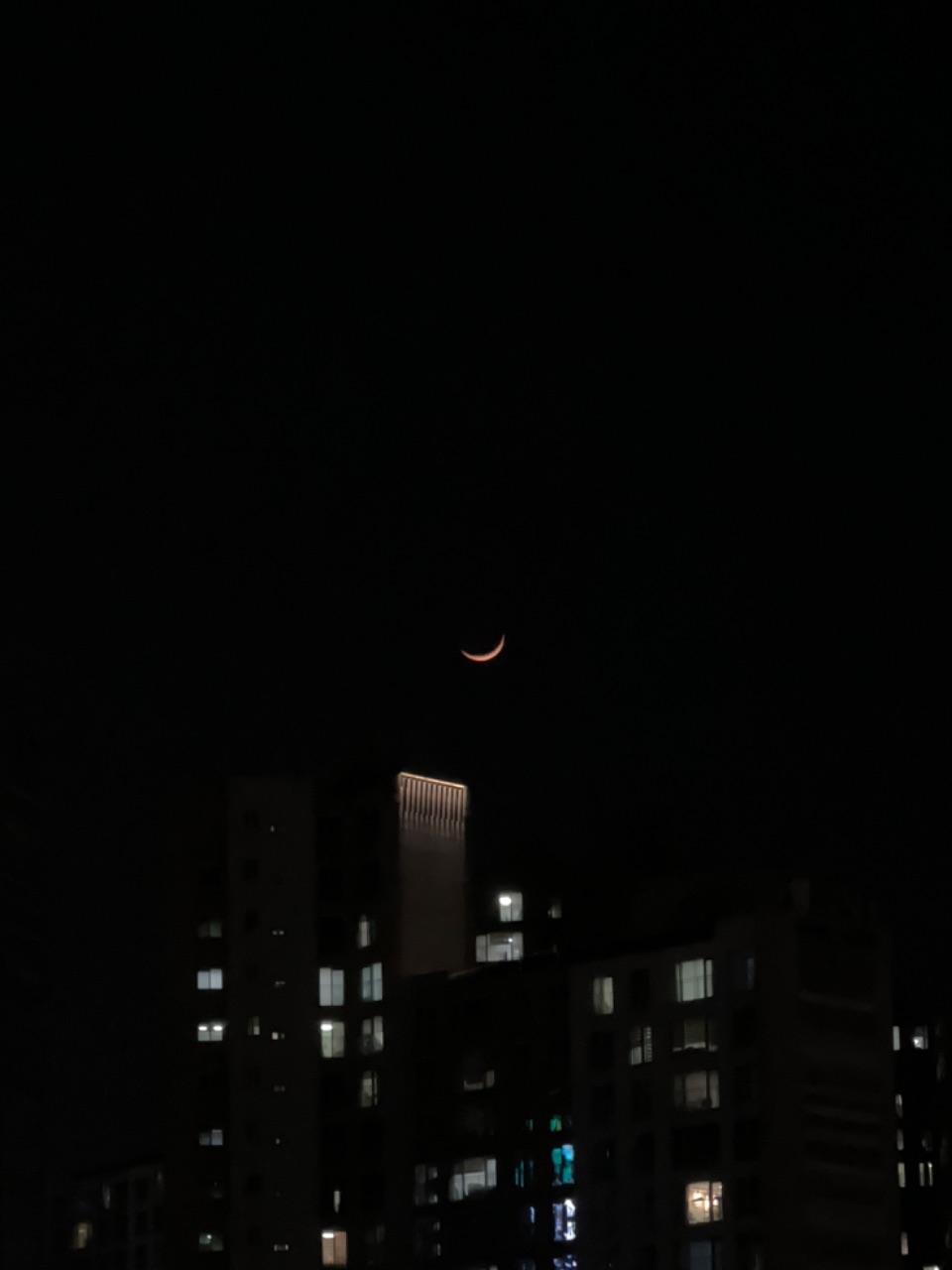 오늘도
