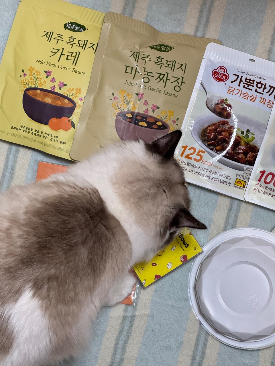 고양이 옆에 놓인 반찬 소스 패키지와 식기