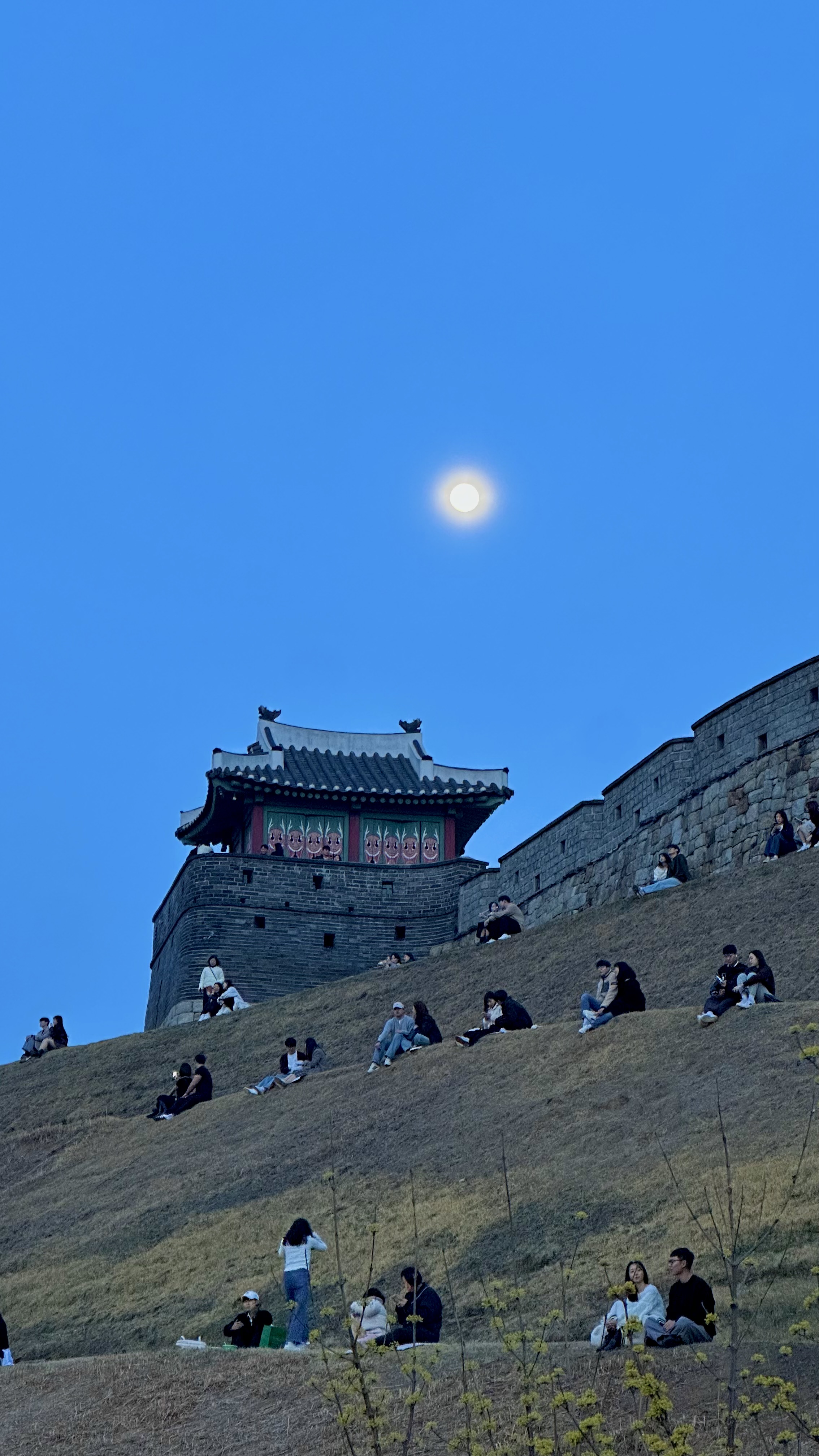 첨부파일