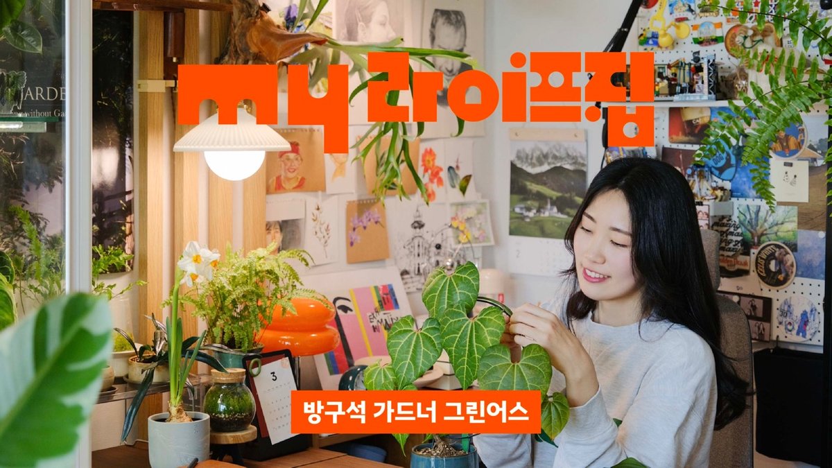홈가드닝으로 꽃피운 나만의 정글 플랜테리어