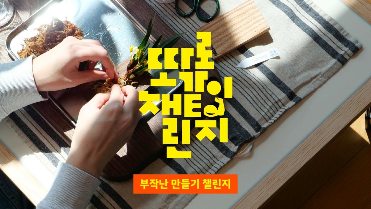 벽에 걸어두는 소형 난초, 부작난 만들기 챌린지