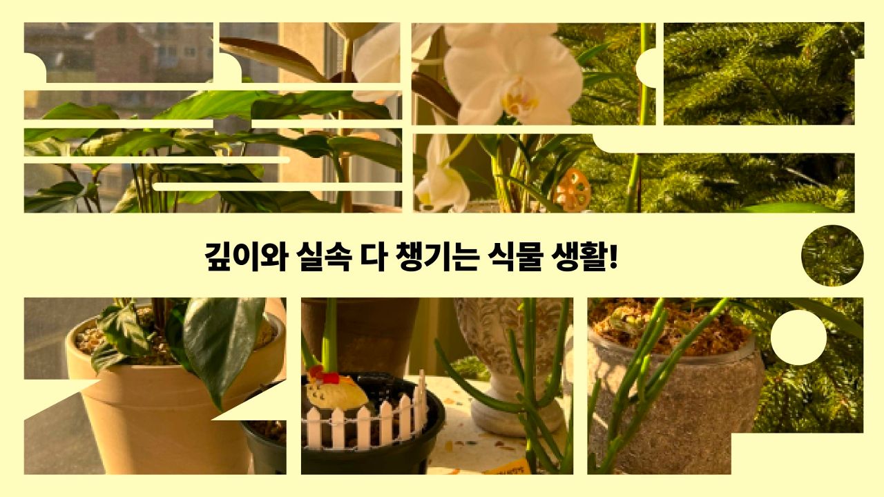 깊이와 실속 다 챙기는 식물 생활!