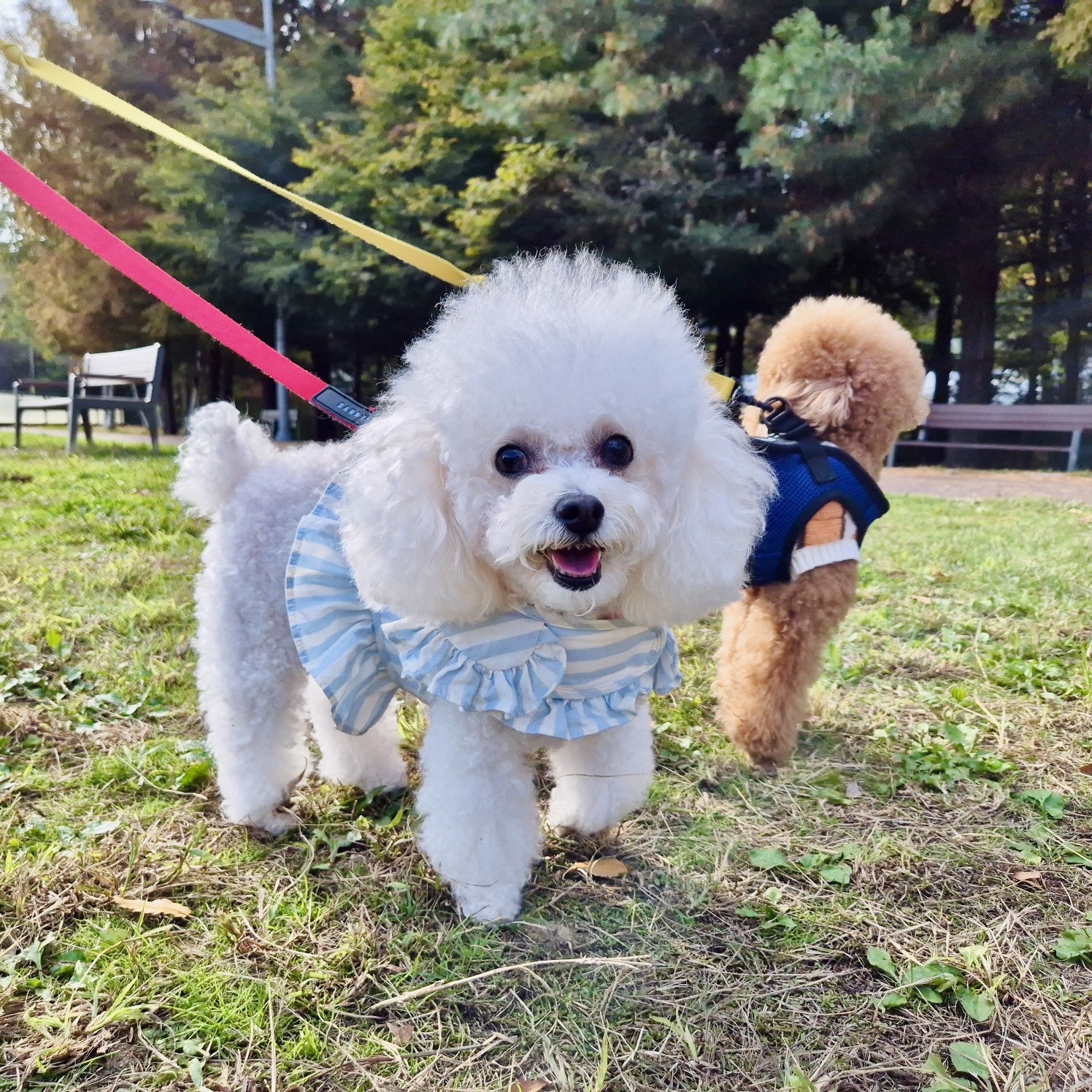 첨부파일