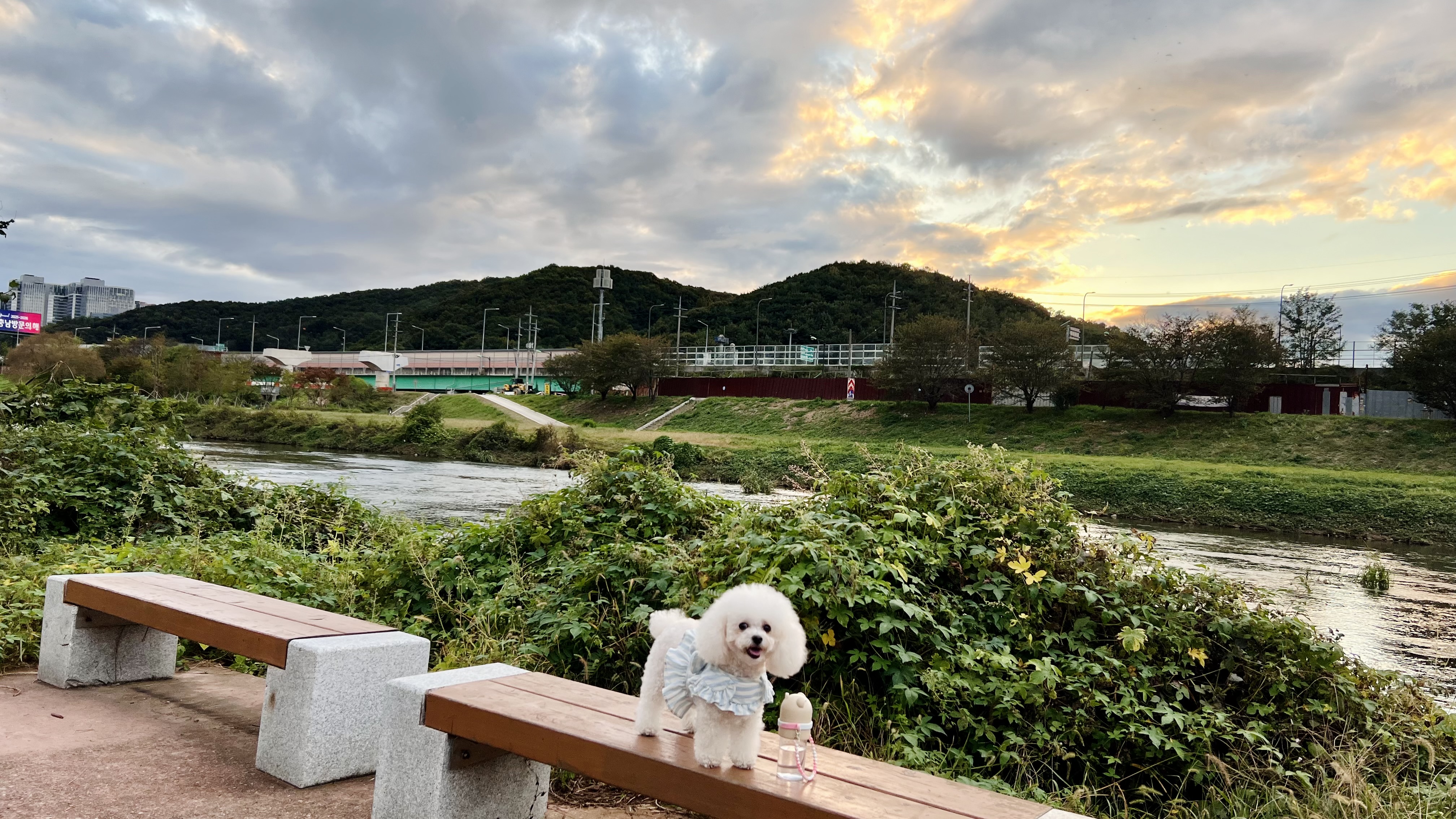 첨부파일