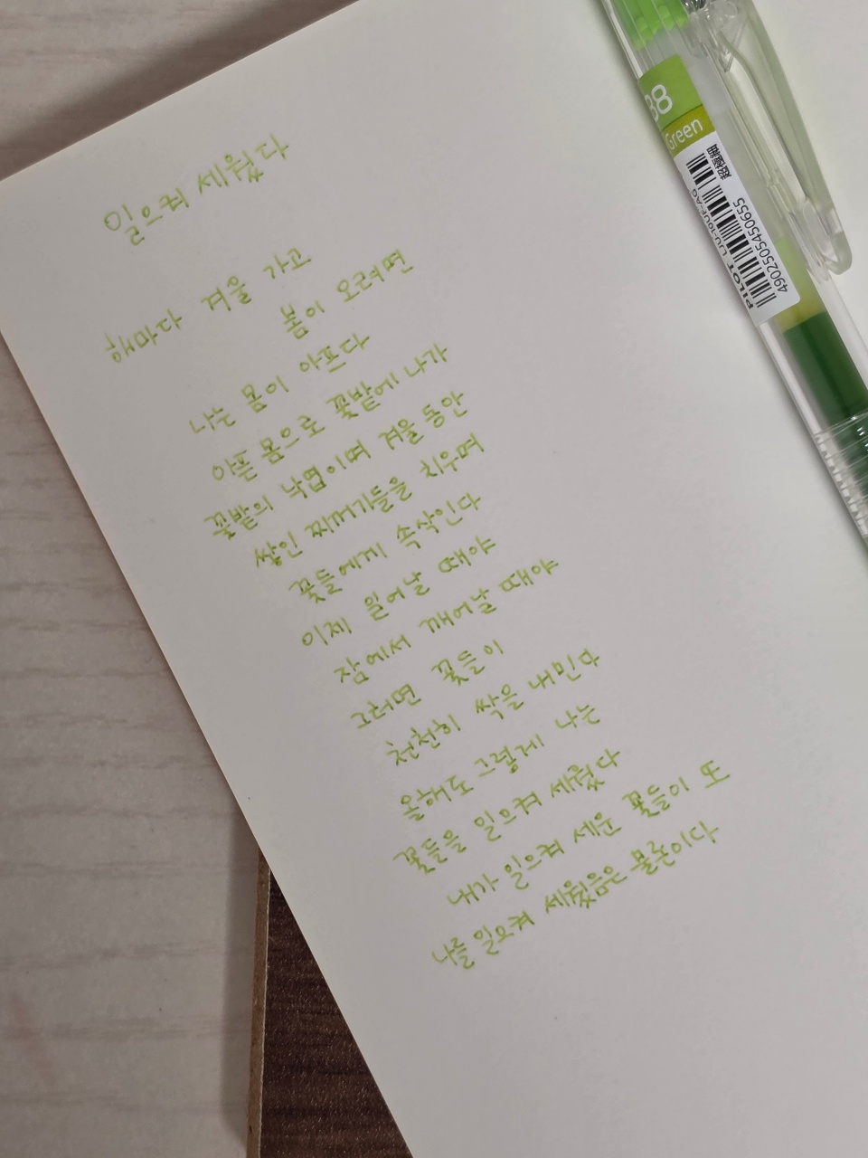 늦게라도 🌄 