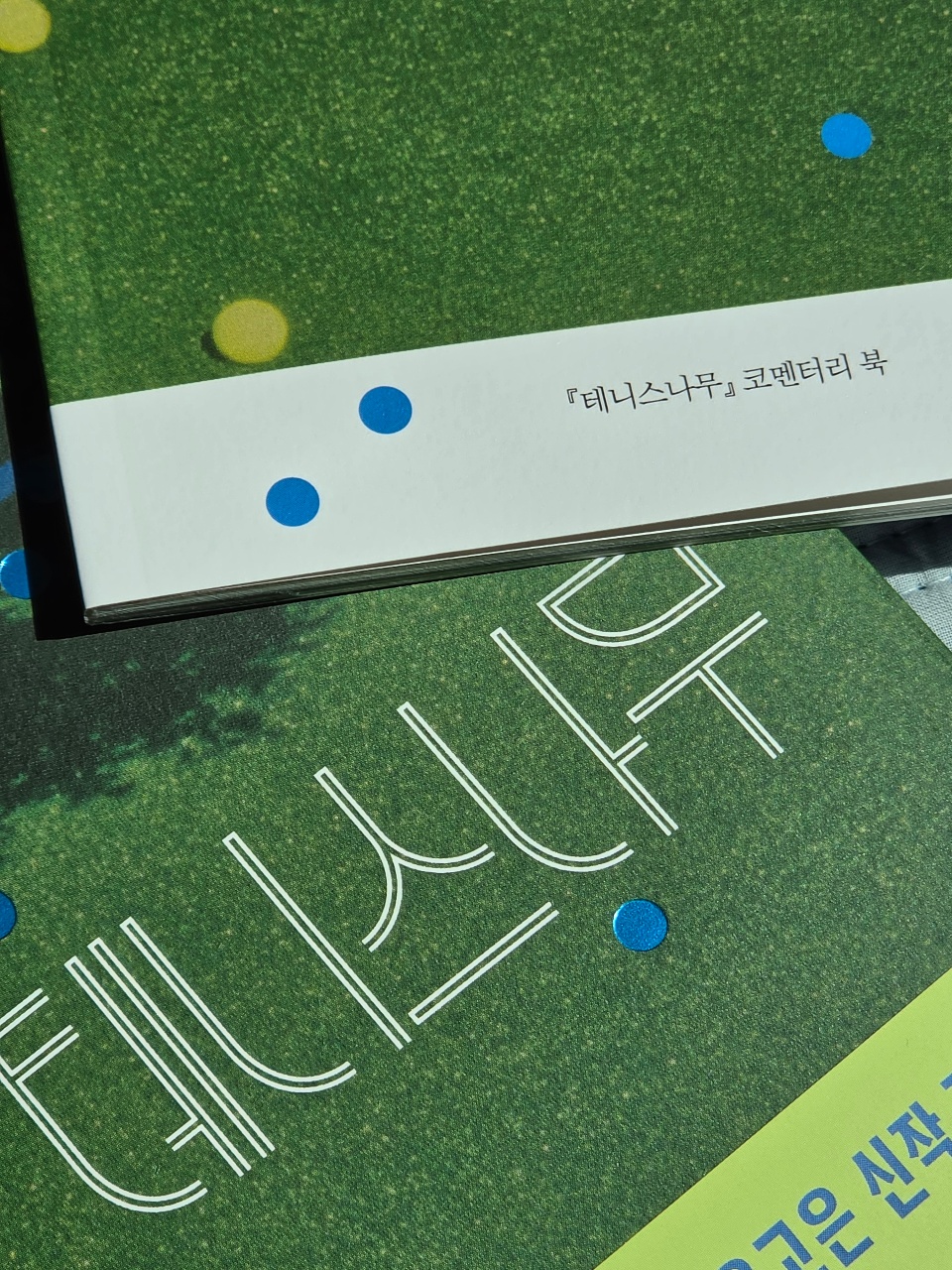 테니스나무