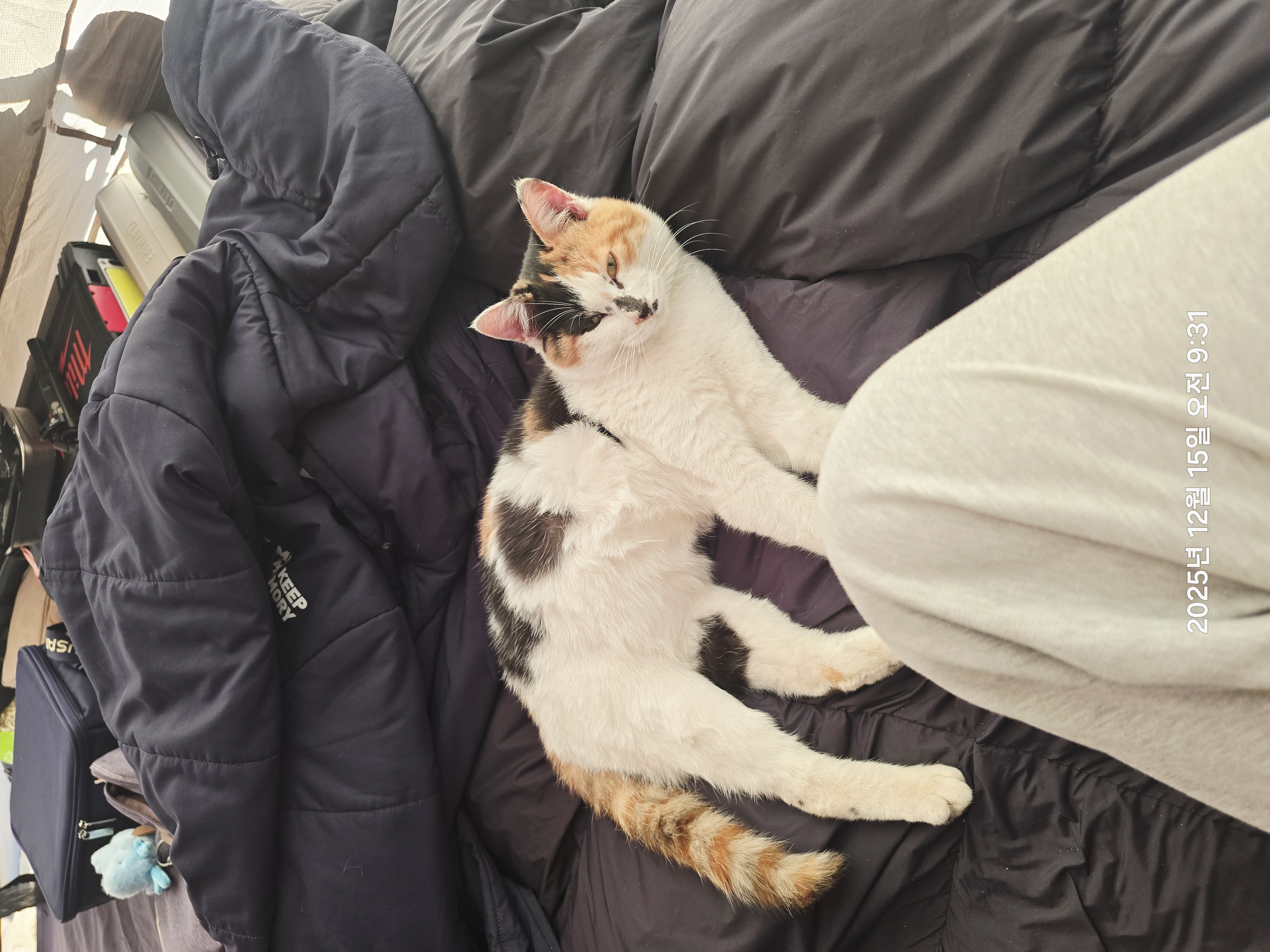 첨부파일