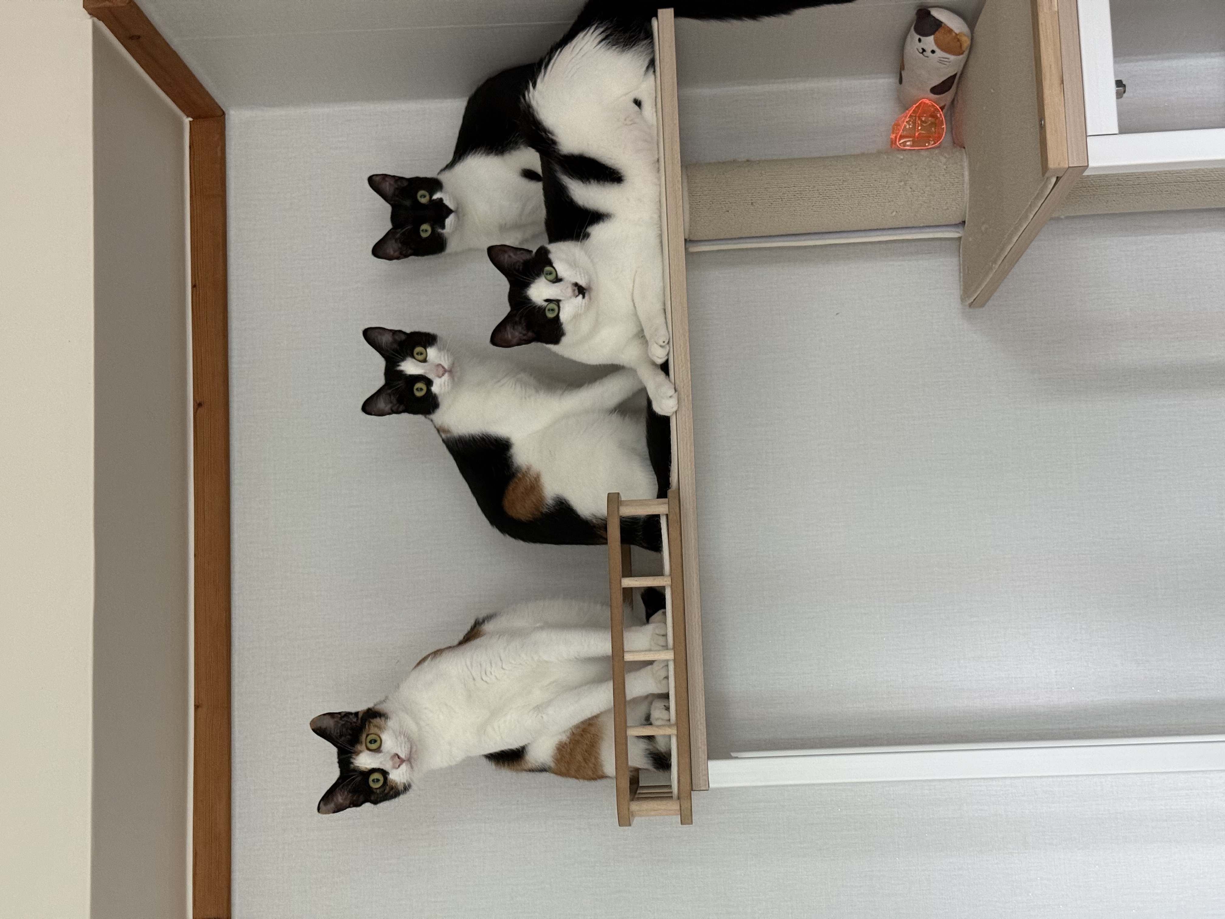첨부파일