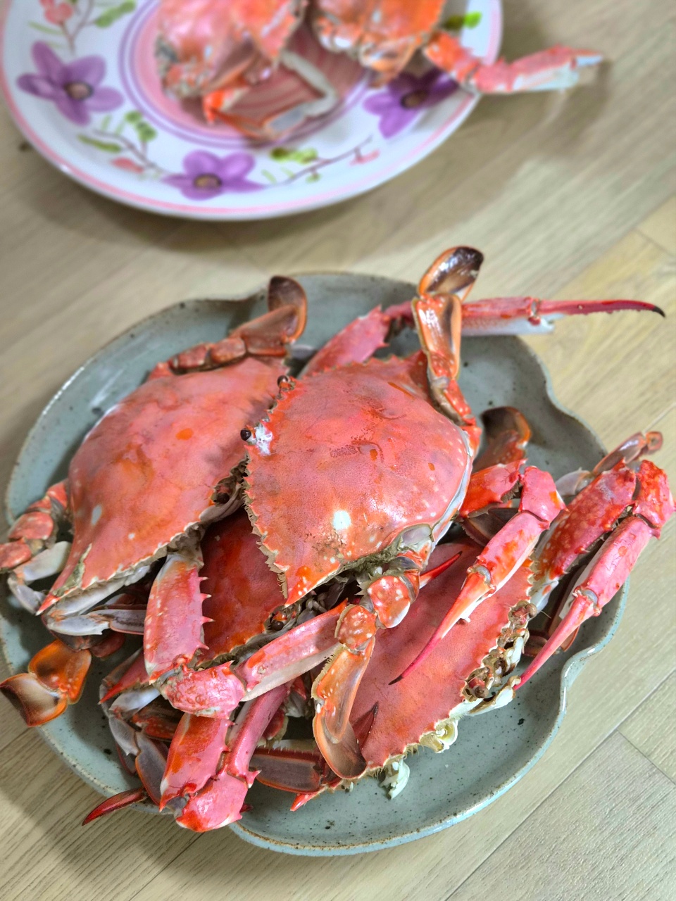 제철 게 🦀
