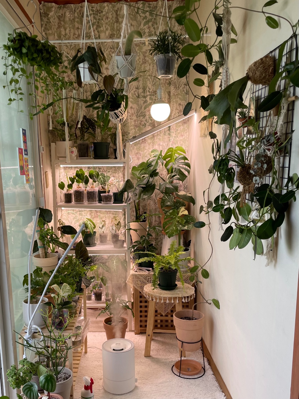 추억앓이☘️🌿🌱