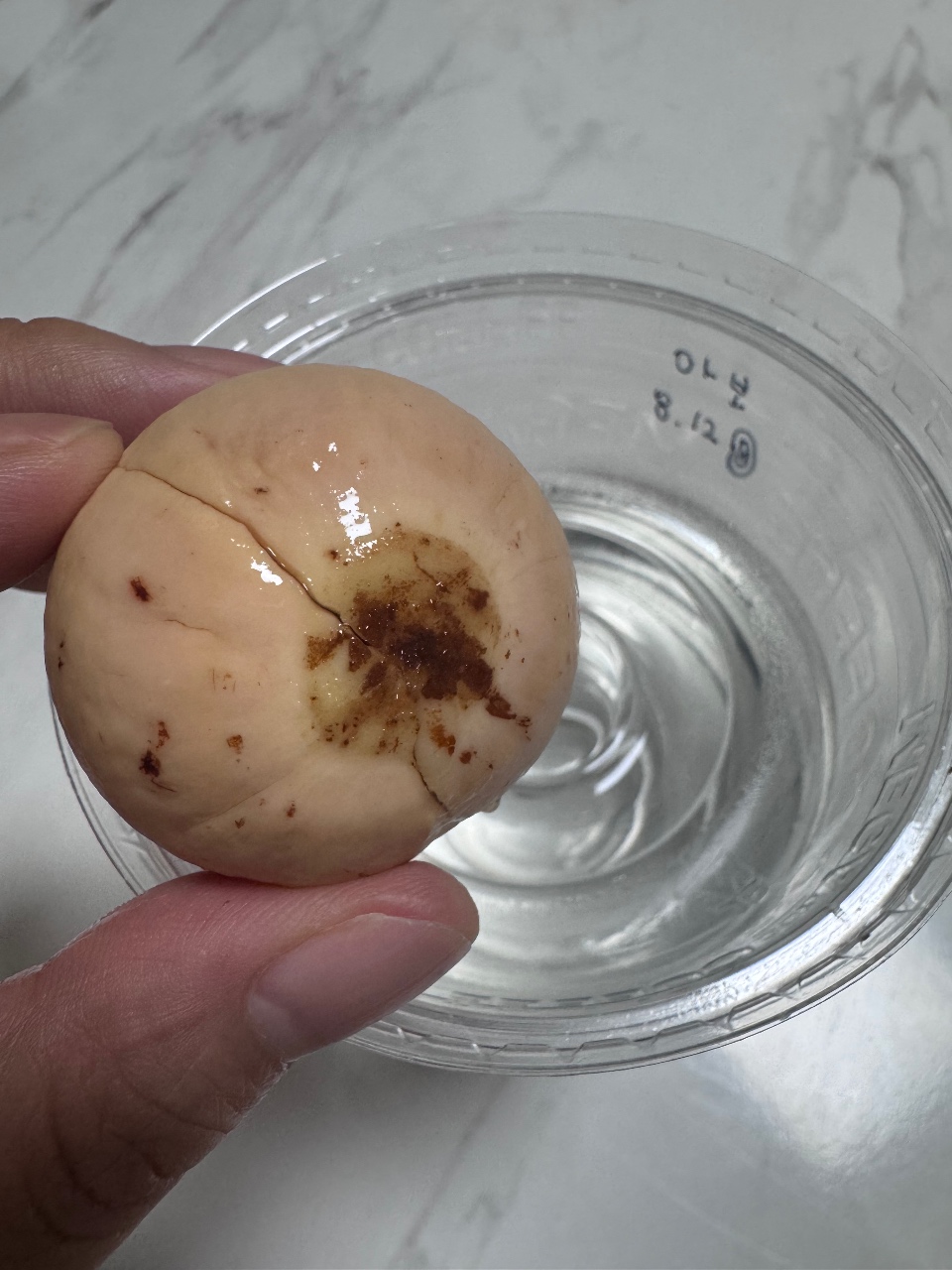 드디어 아보🥑