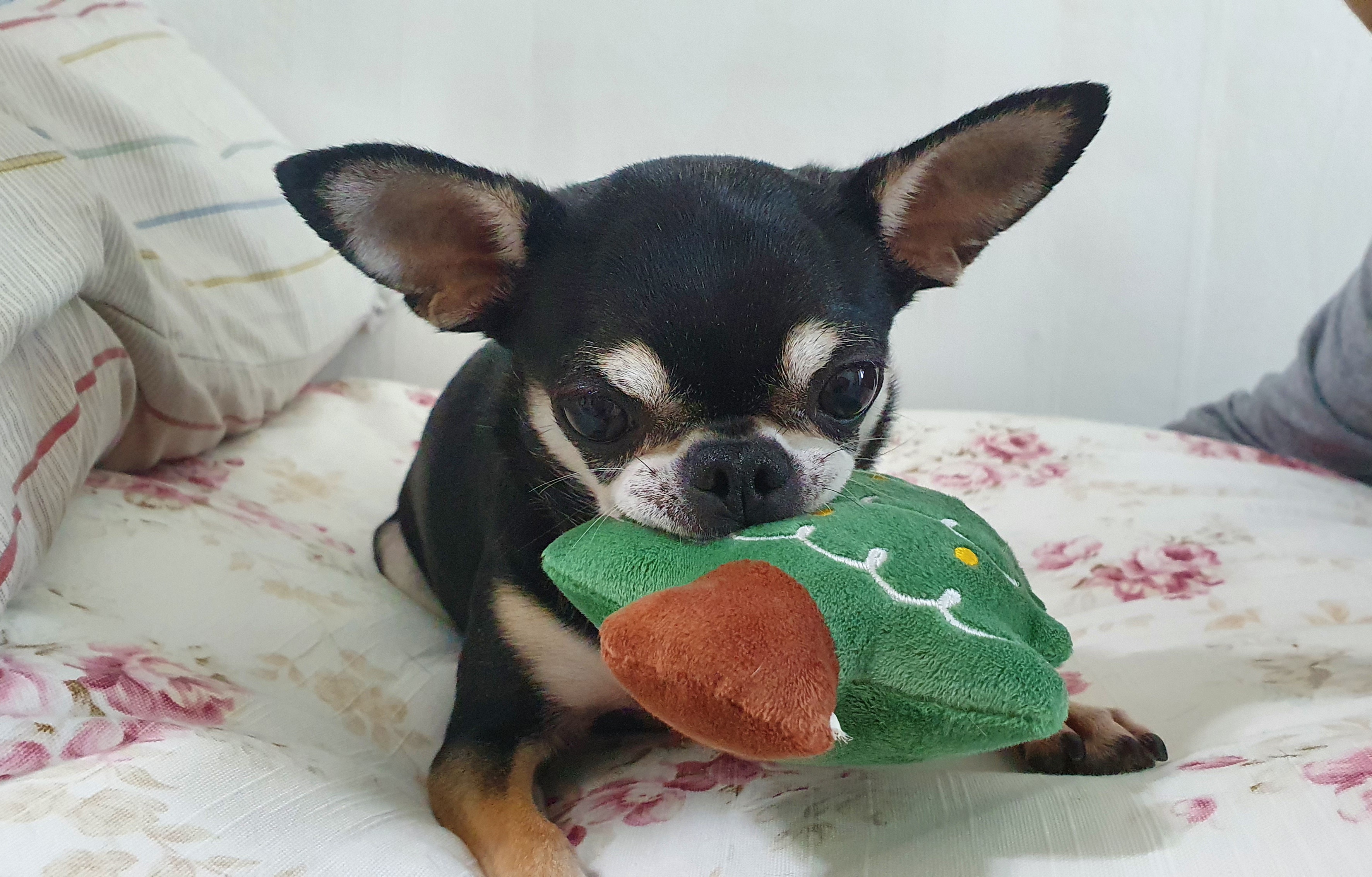 첨부파일