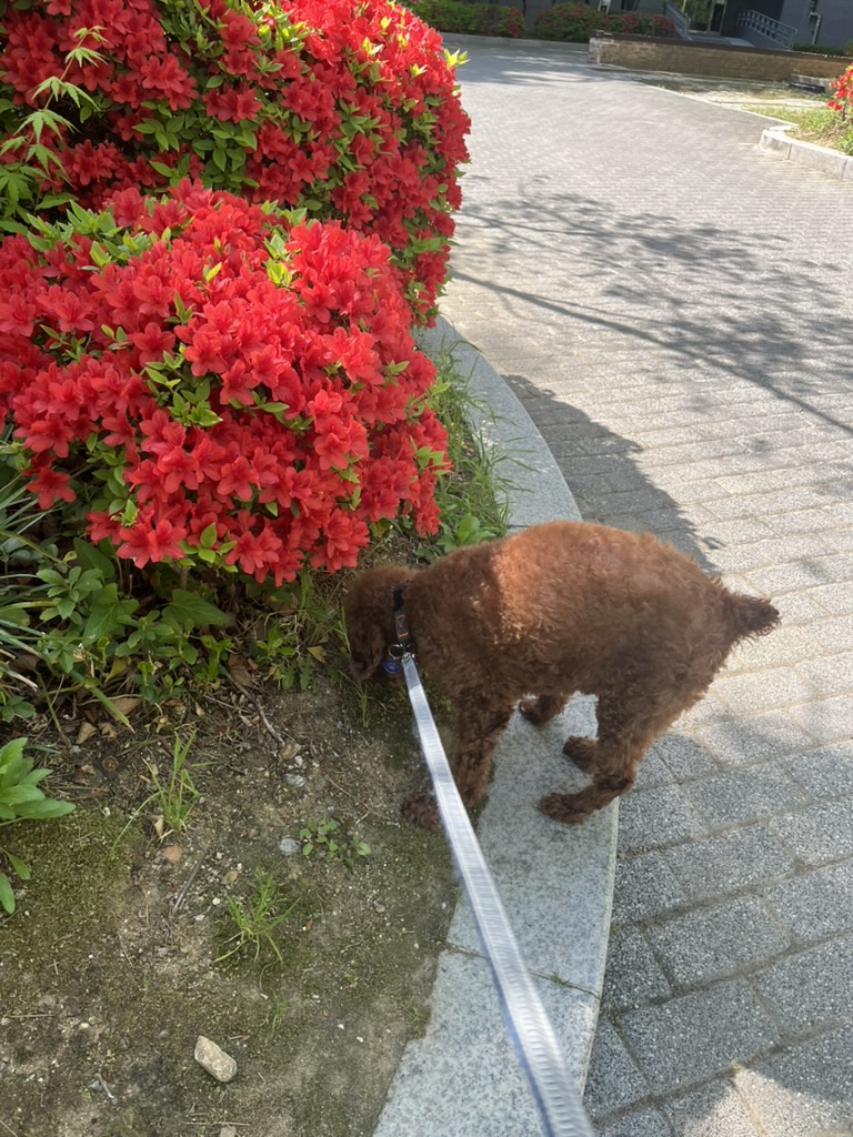 오늘도 산책^^