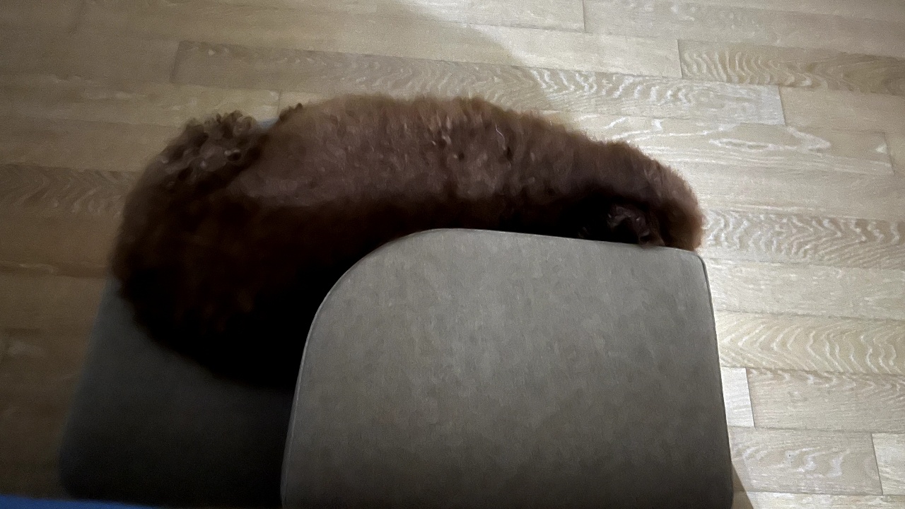 요즘 잠버릇