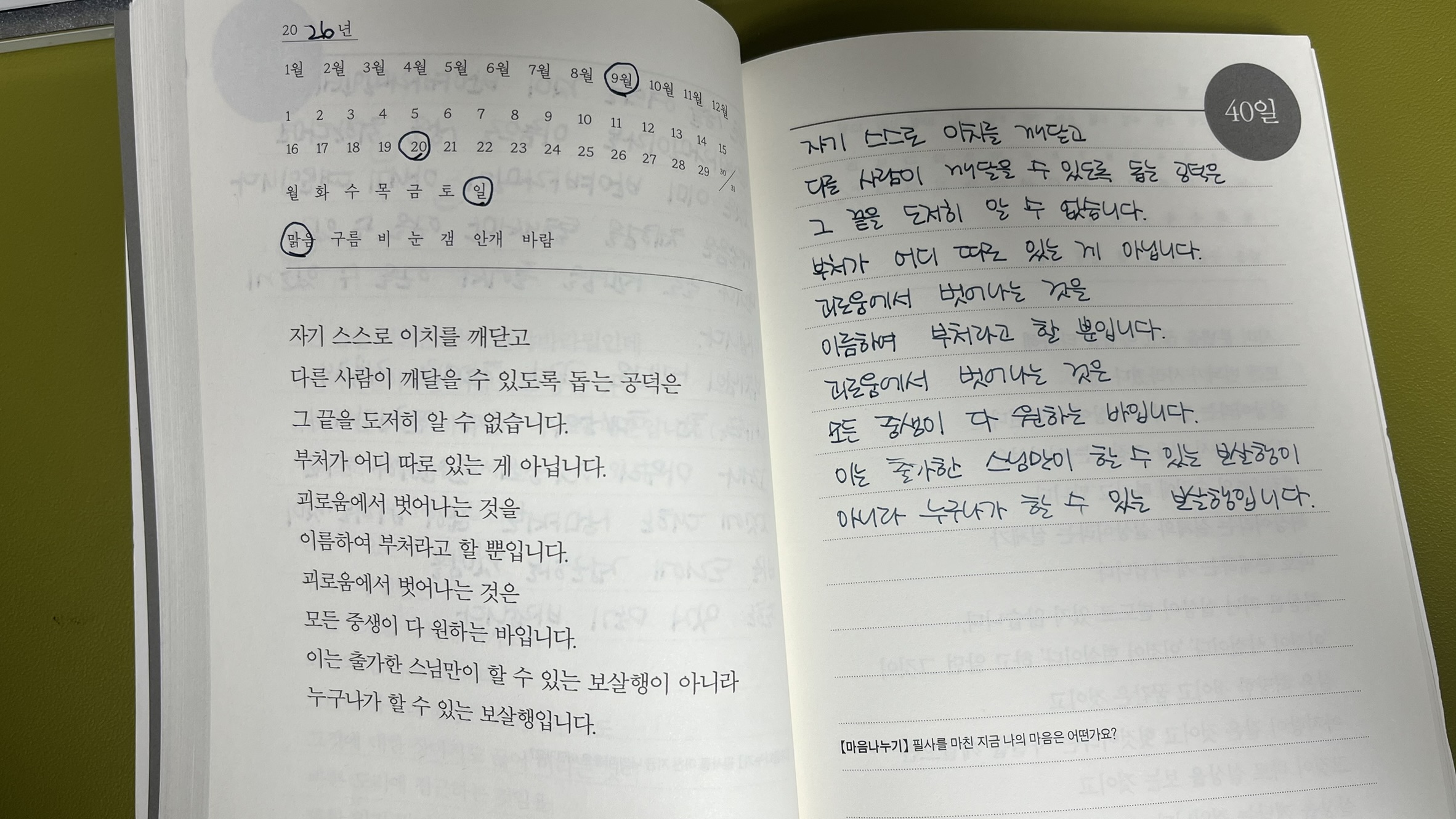 오늘 필사_부처