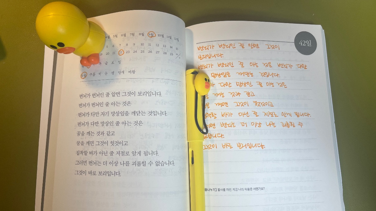 오늘의 필사-깨달음, 보리