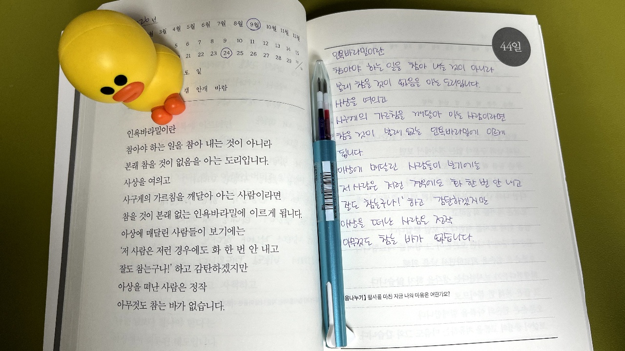 오늘의 필사_인욕바라밀