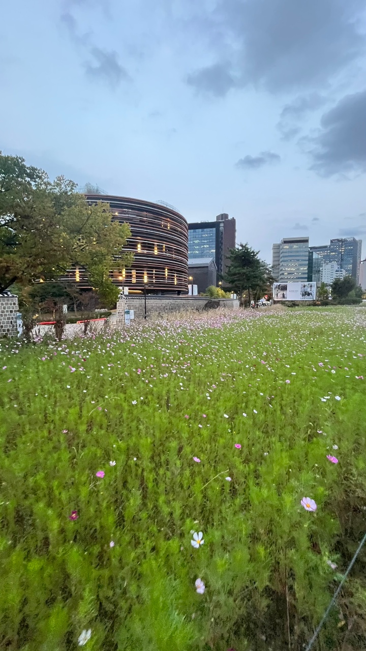 삼청동 나들이