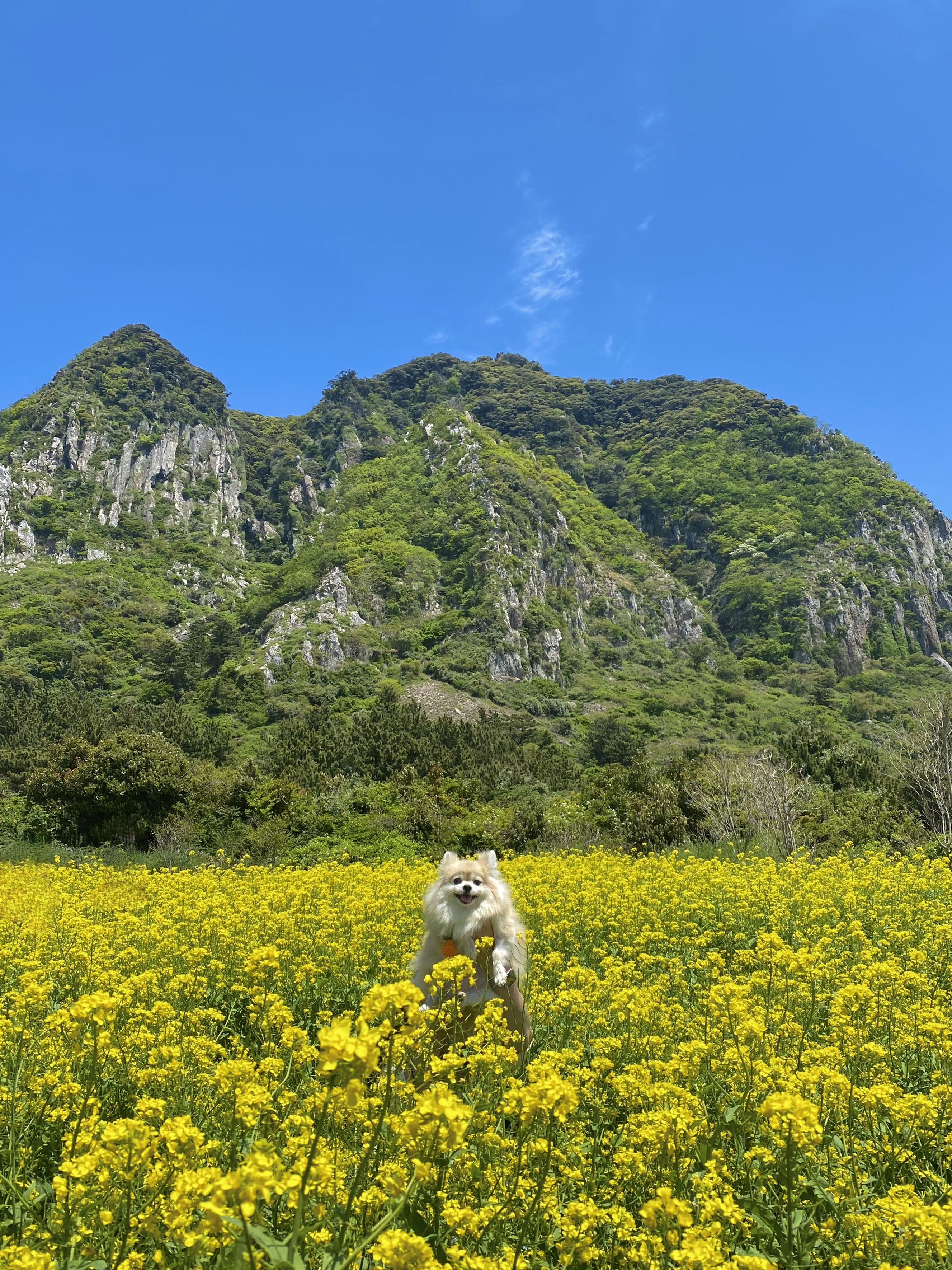 첨부파일
