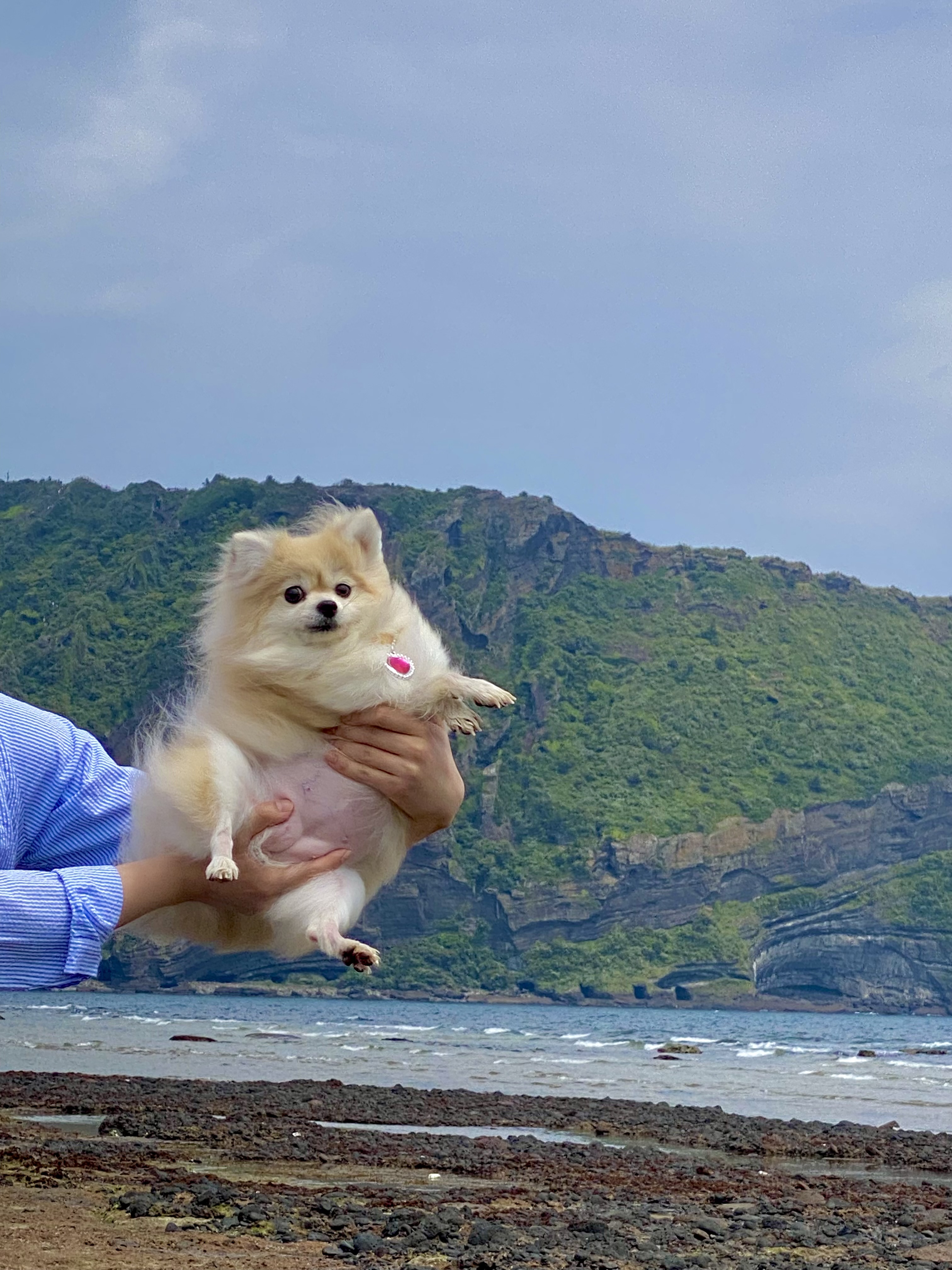 첨부파일