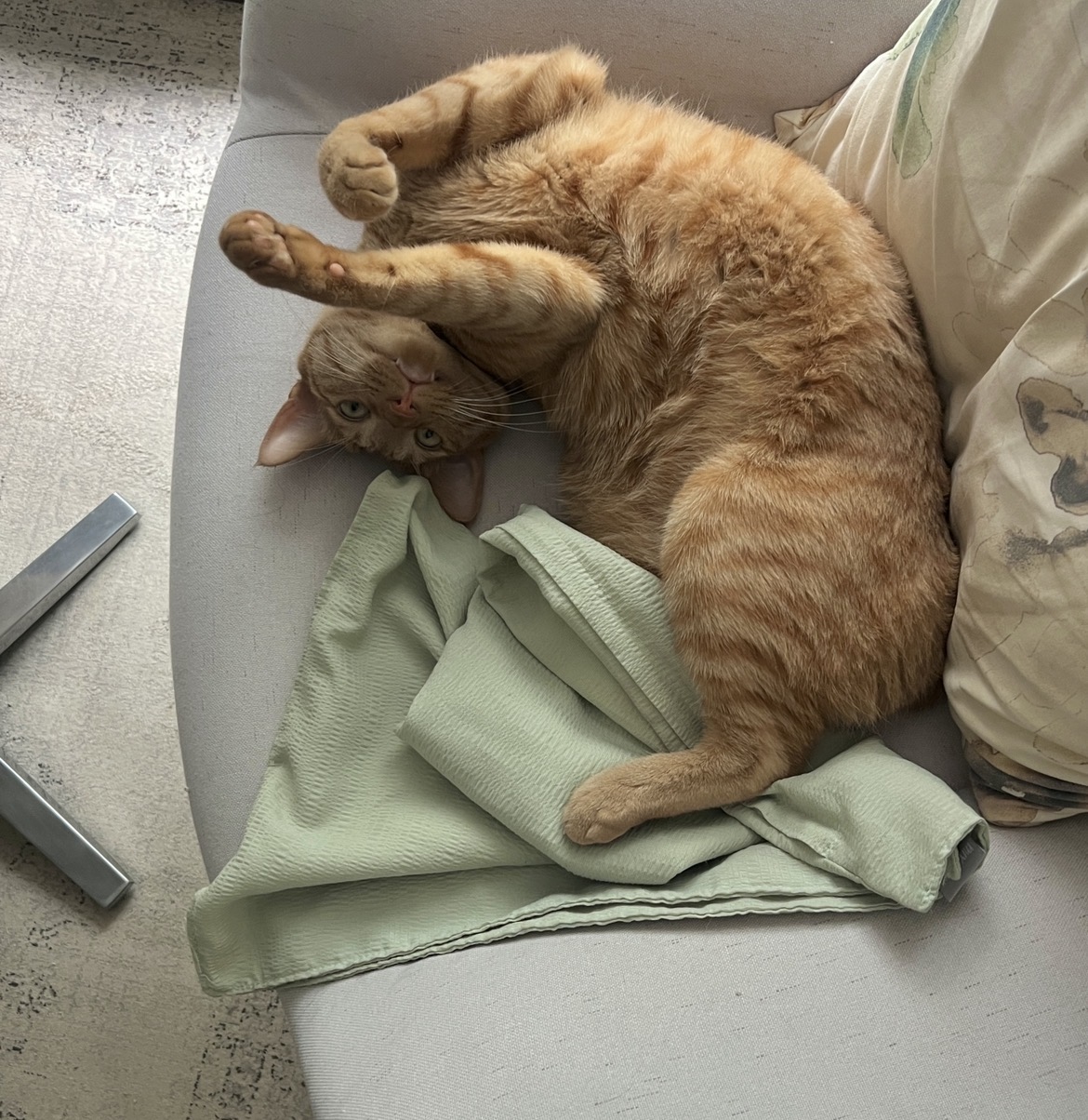 애착 의자에서 발라당😸