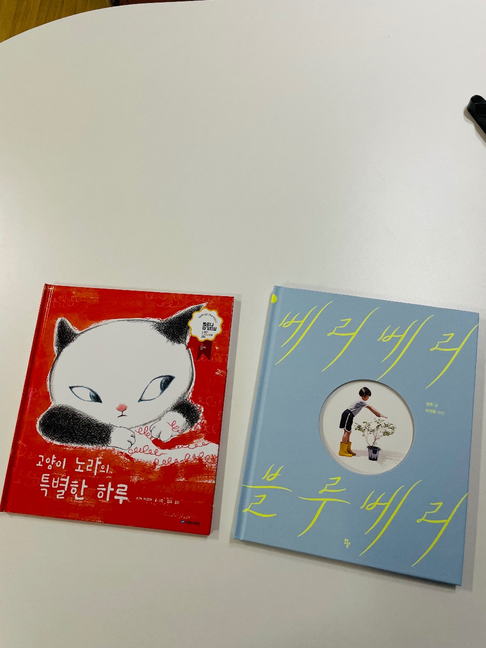 고민고민 하다 다 사버린 그림책 두 권