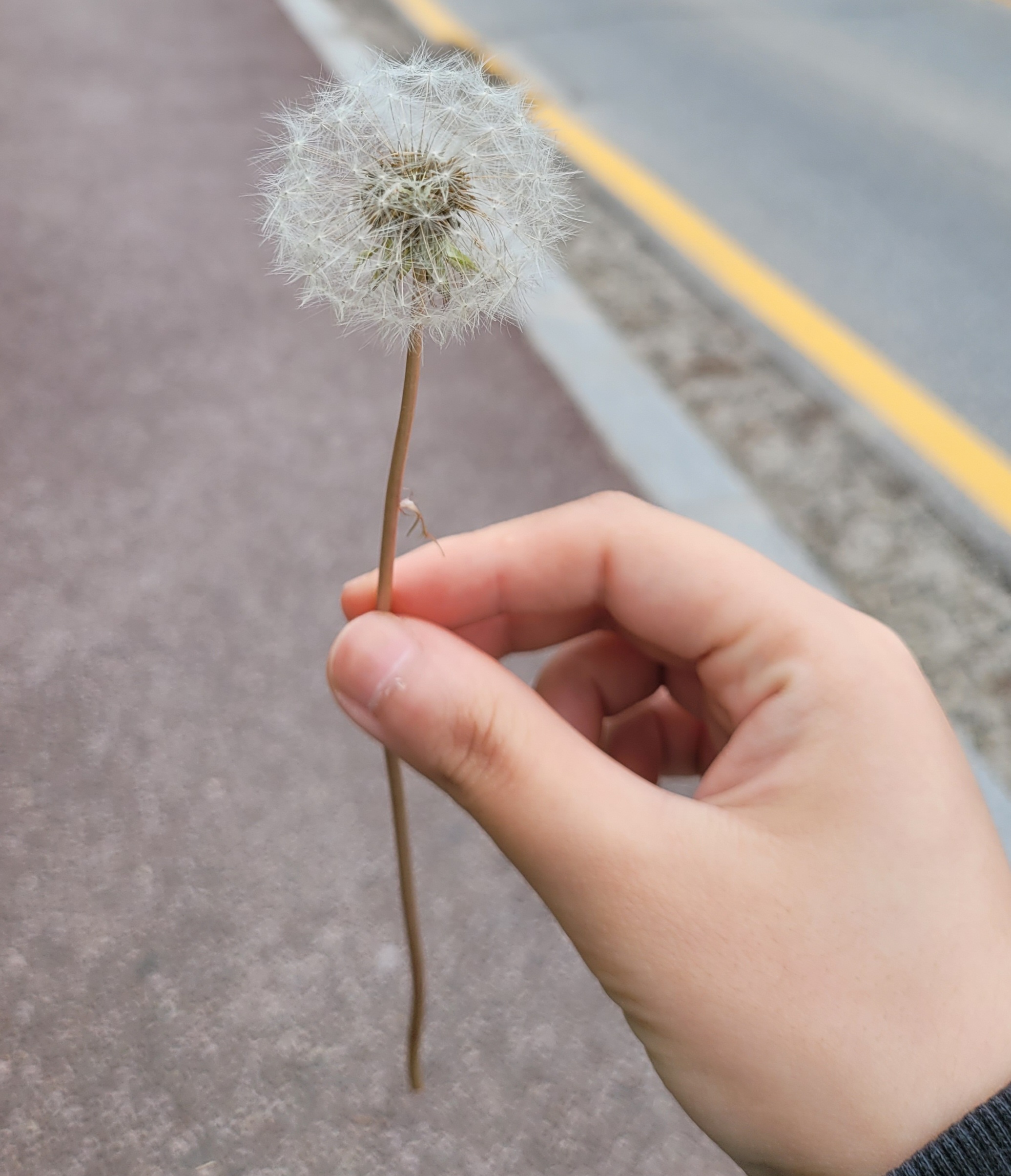 첨부파일