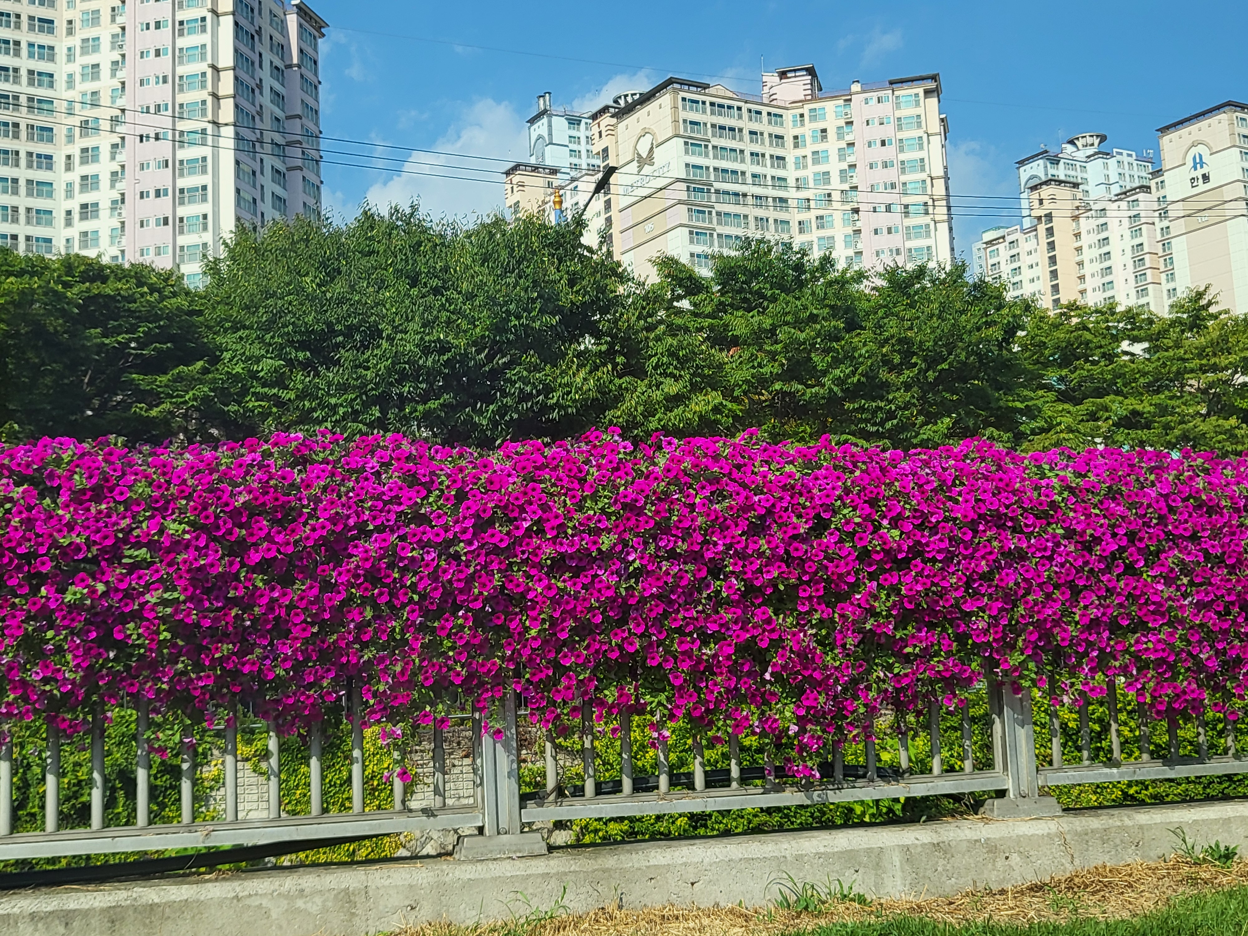 첨부파일