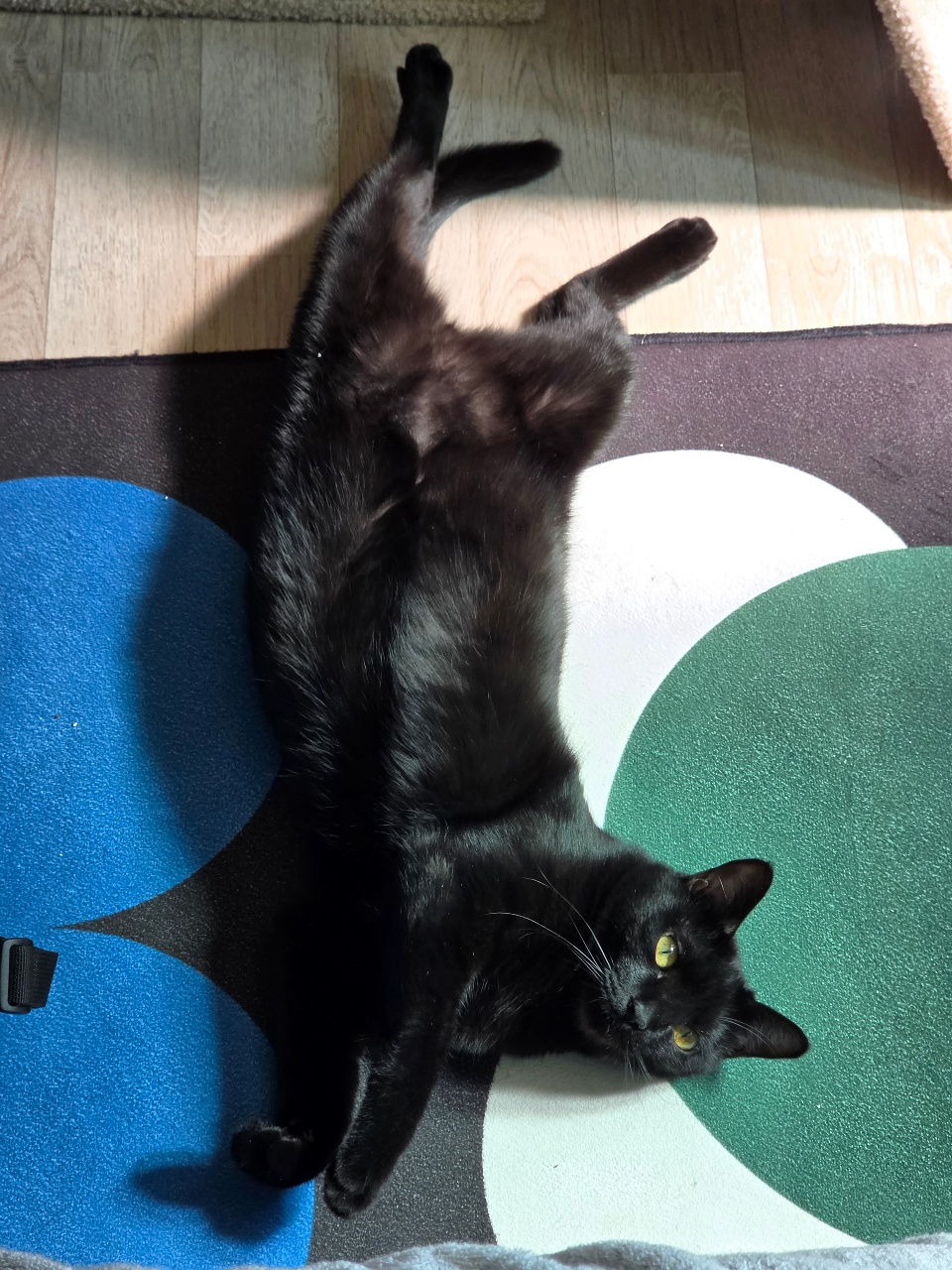 자다 깬 다로