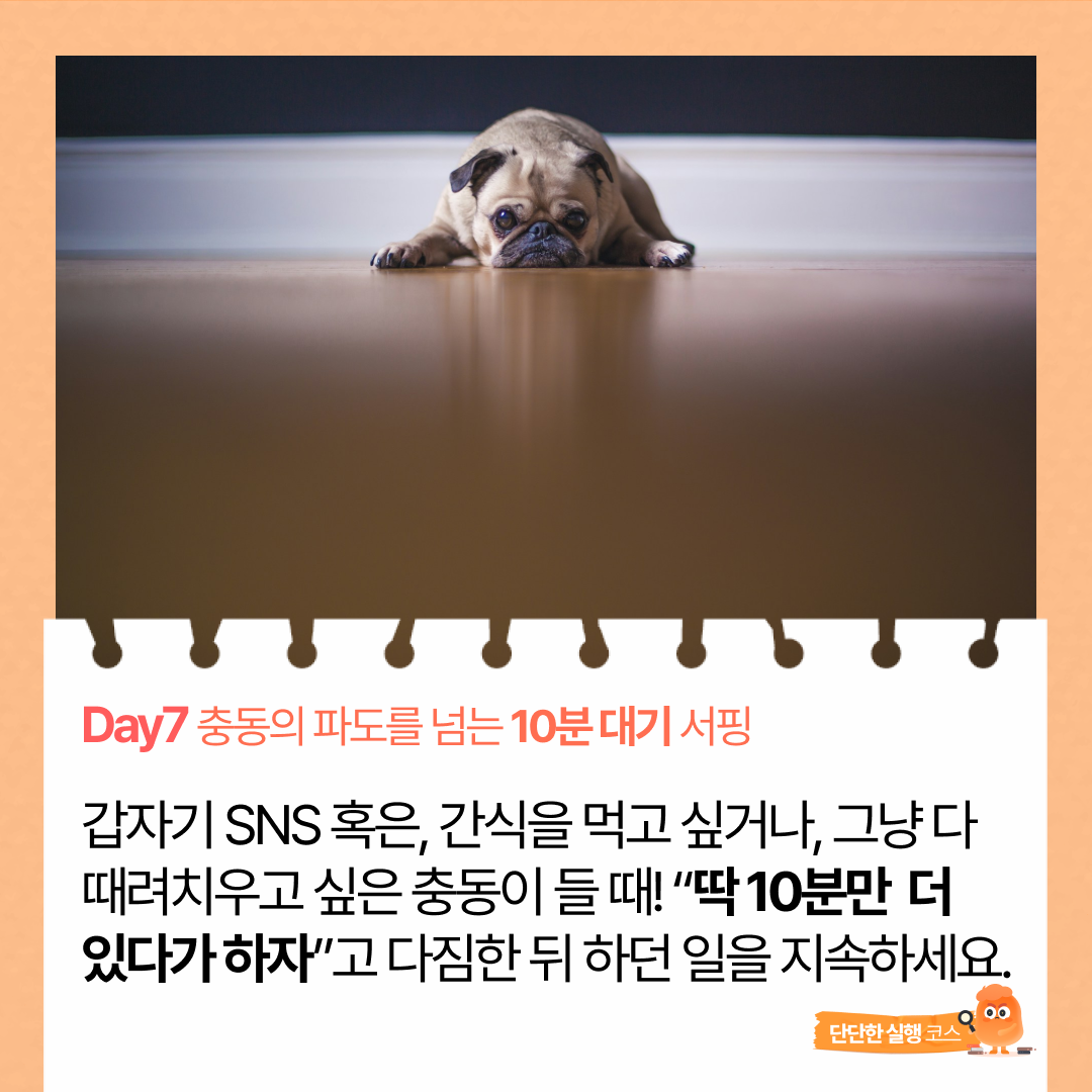 7일차 단단)충동의 파도를 넘는 '10분 대기' 서핑