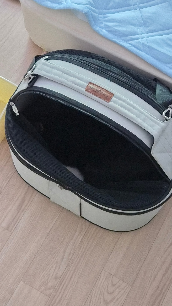 매일 야옹이 사진 공유합니다.