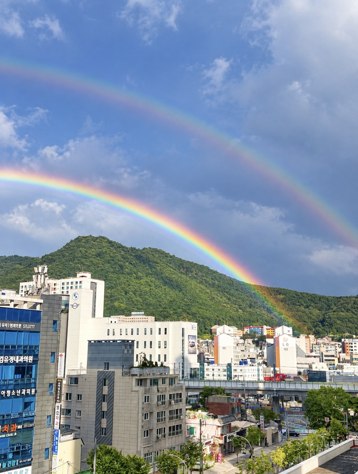 쌍무지개 보고 행복하세요