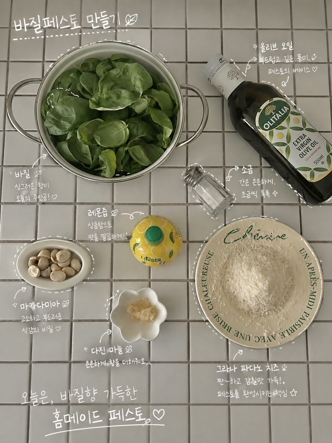 홈메이드 바질페스토🌱
