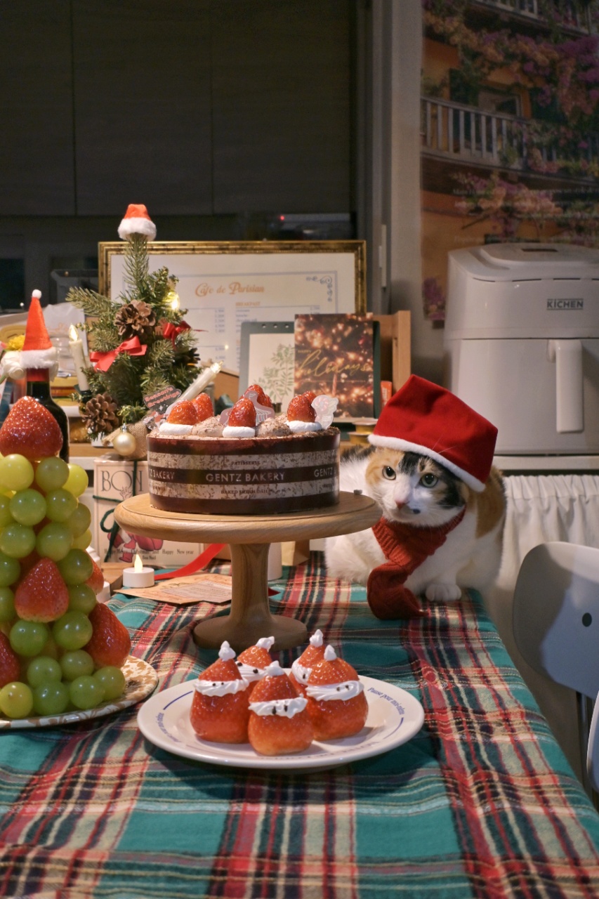 지난 크리스마스 홈파티 기록🎄🎈