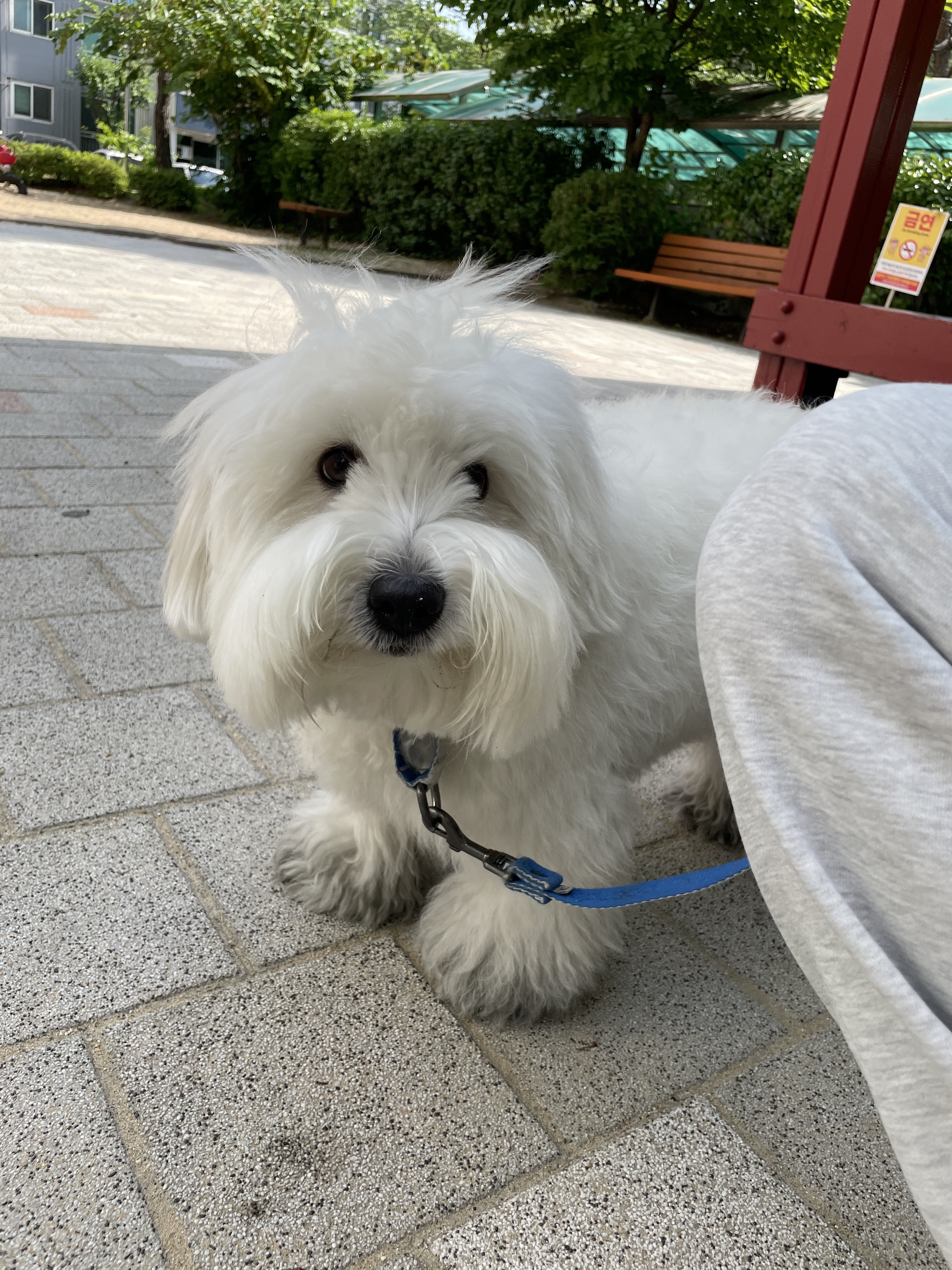 첨부파일