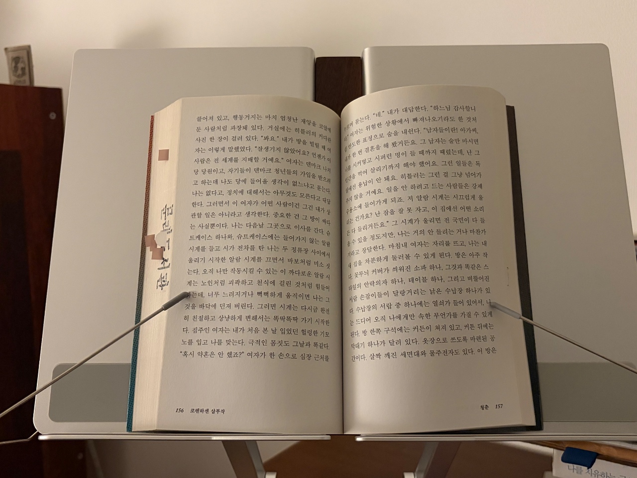 코펜하겐 삼부작 2. 청춘