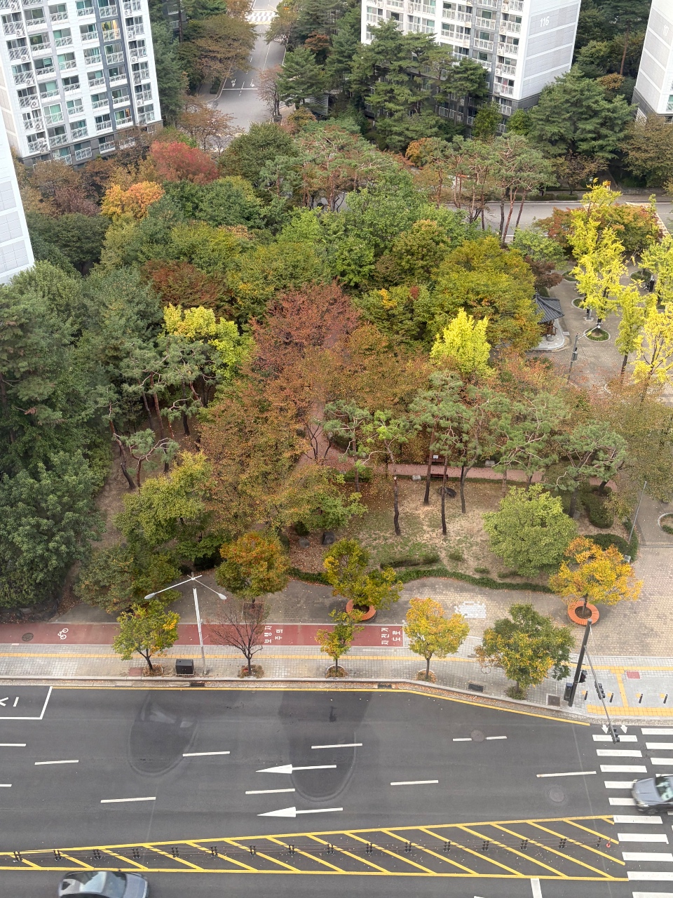 단풍이 드는 중