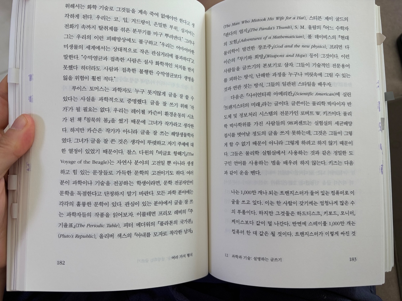 독서 타임